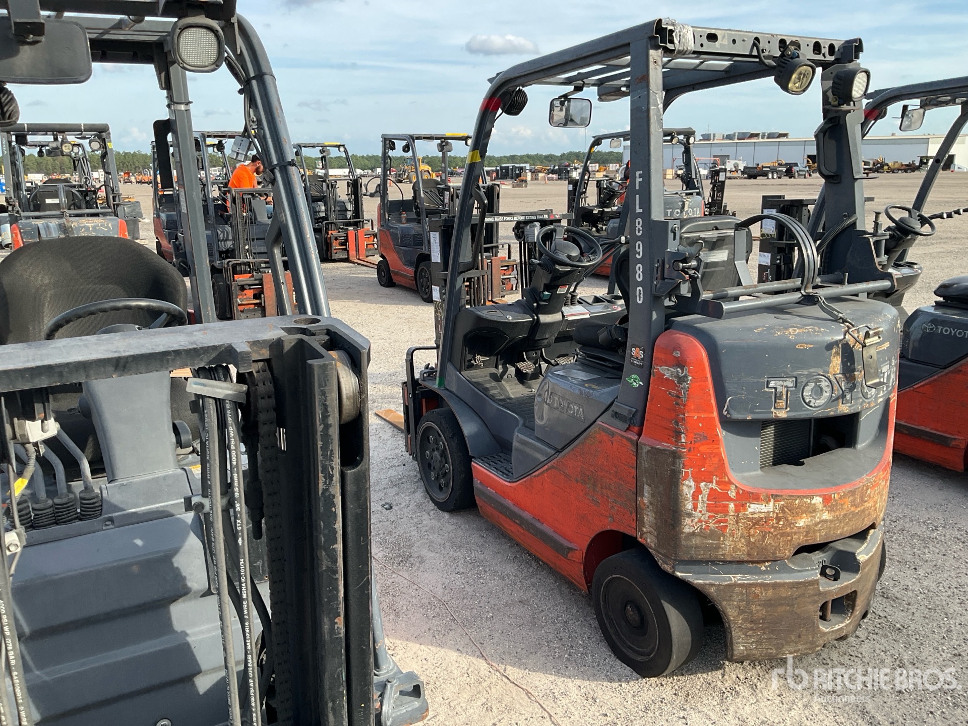 General Appearance with Zdjęcie, lewy dolny róg