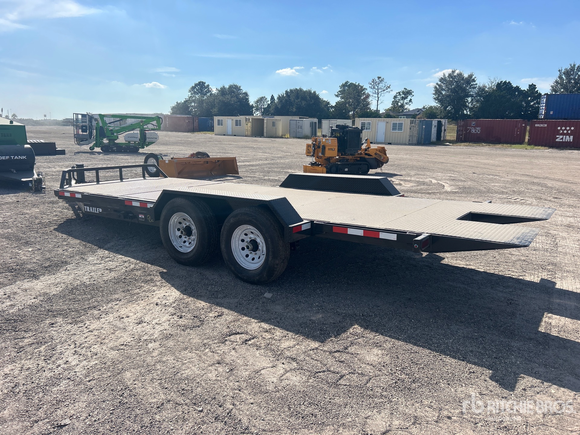 General Appearance with Zdjęcie, lewy dolny róg