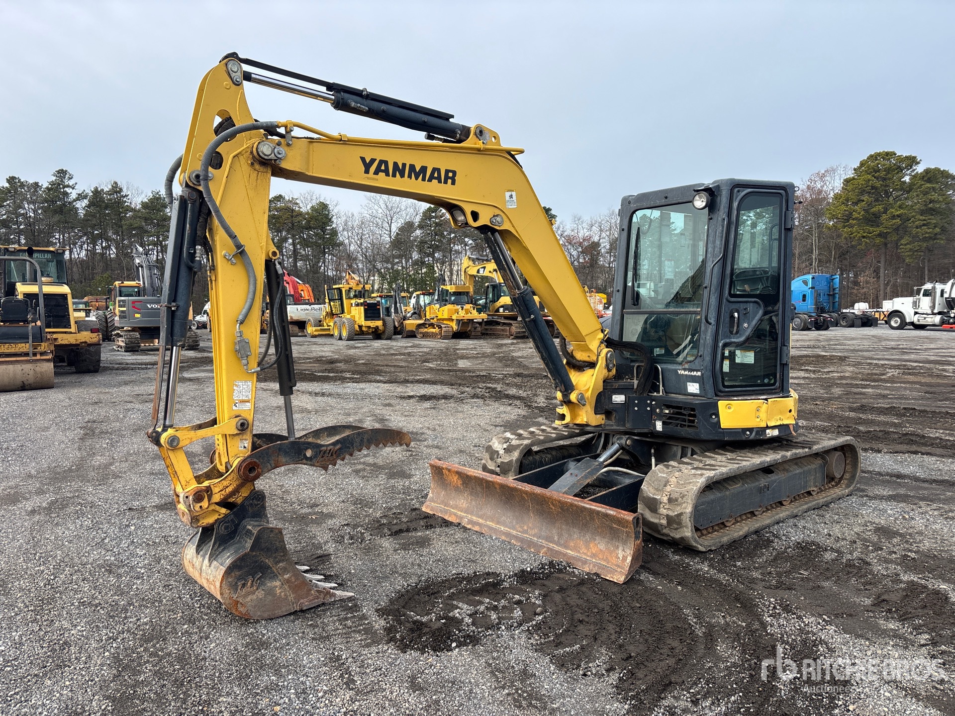 General Appearance with Spin