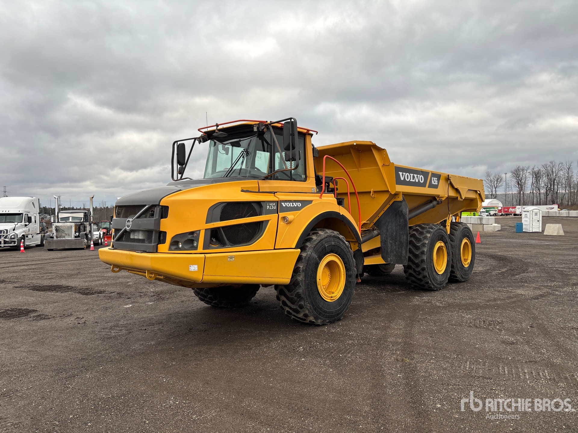 General Appearance with Spin