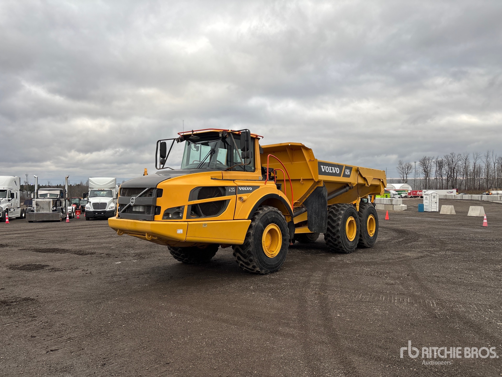 General Appearance with Spin