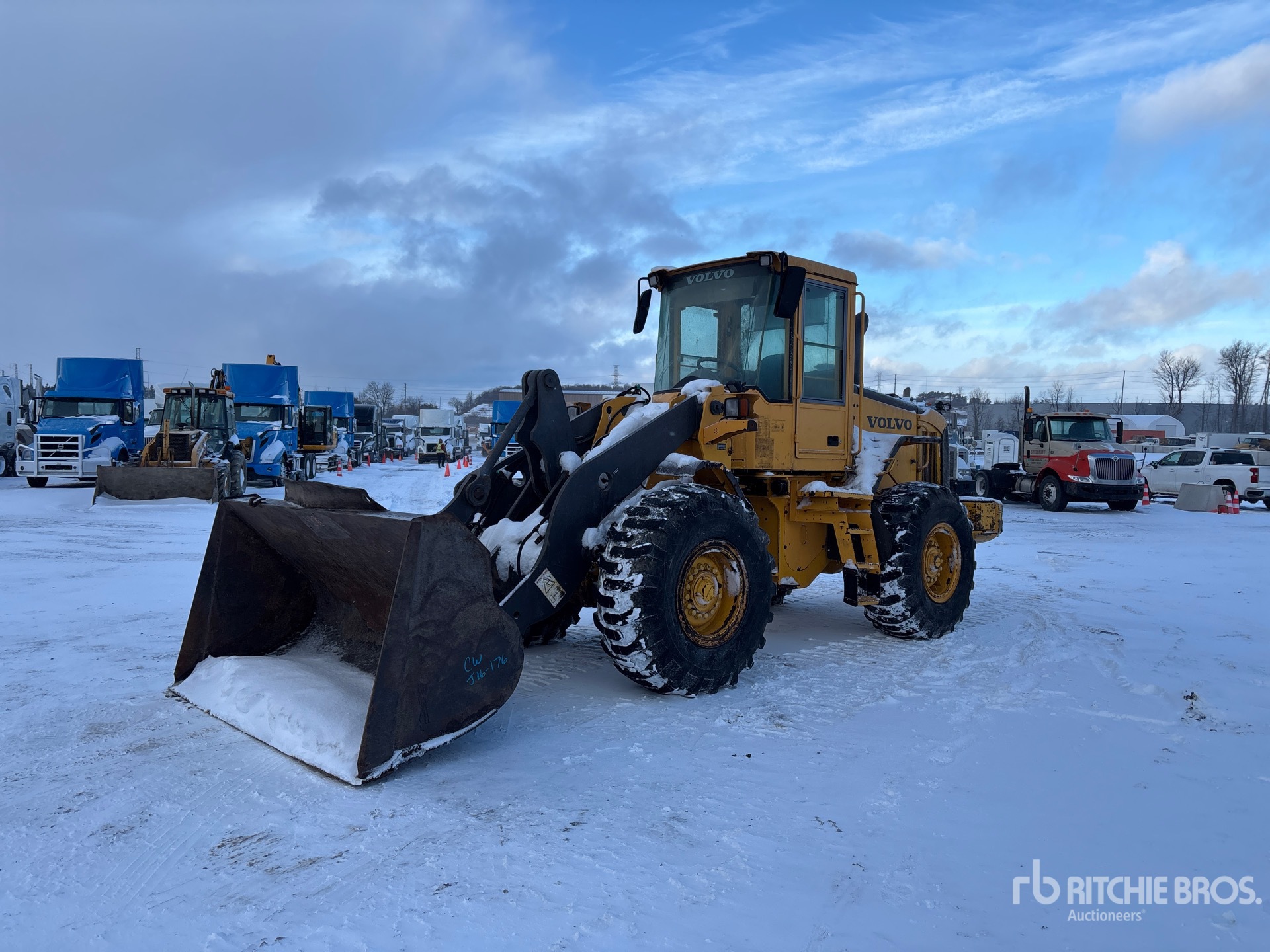 General Appearance with Spin