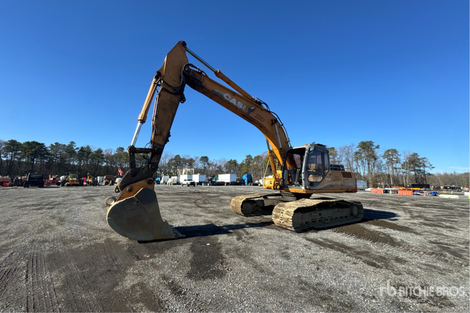 General Appearance with Spin