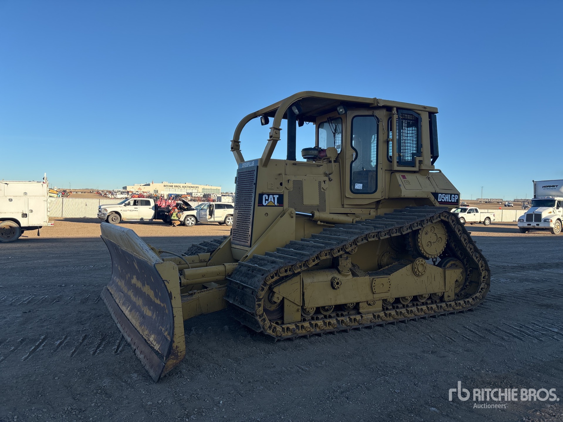 General Appearance with Spin