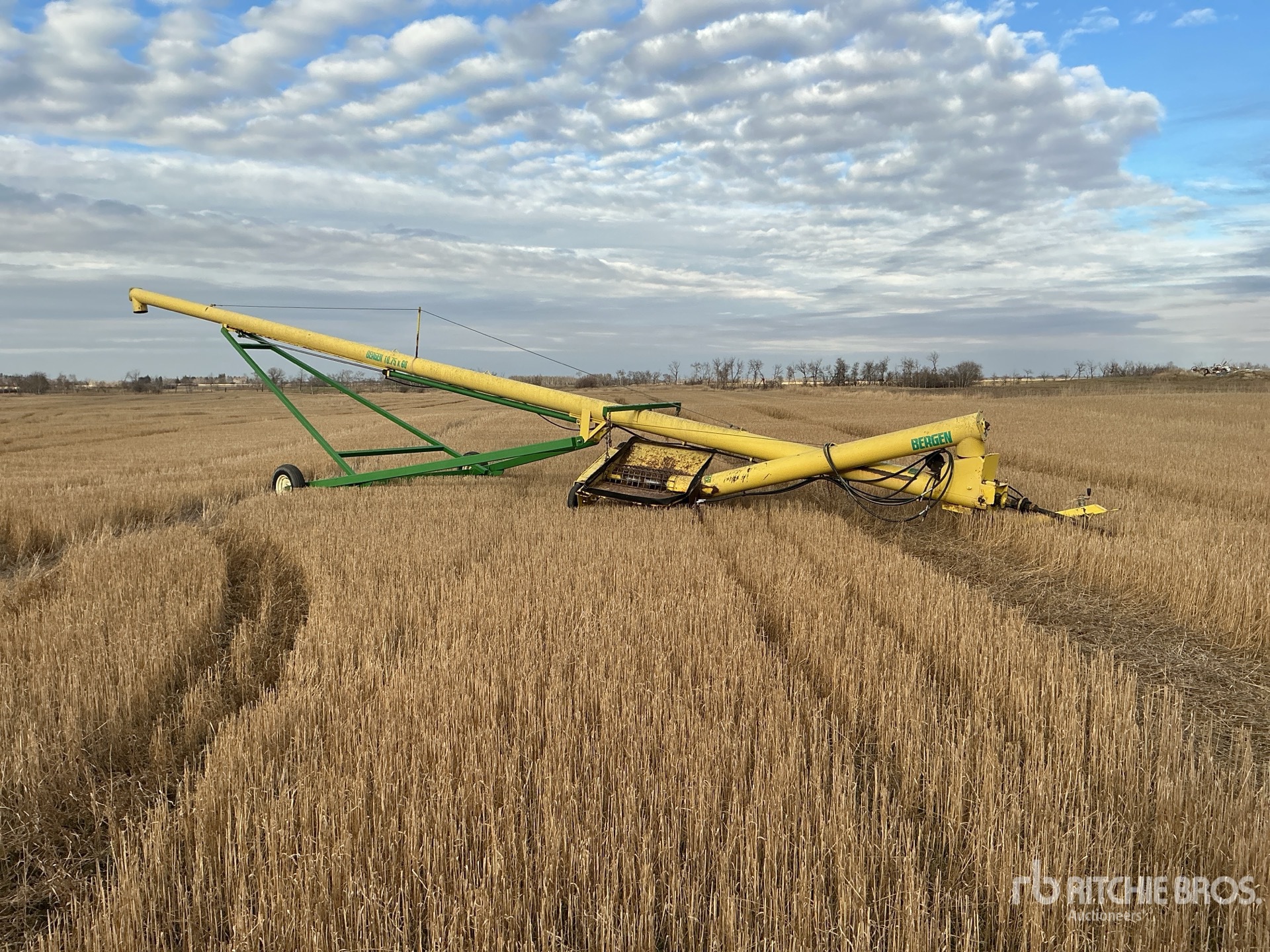 General Appearance with Foto, angolo anteriore destro