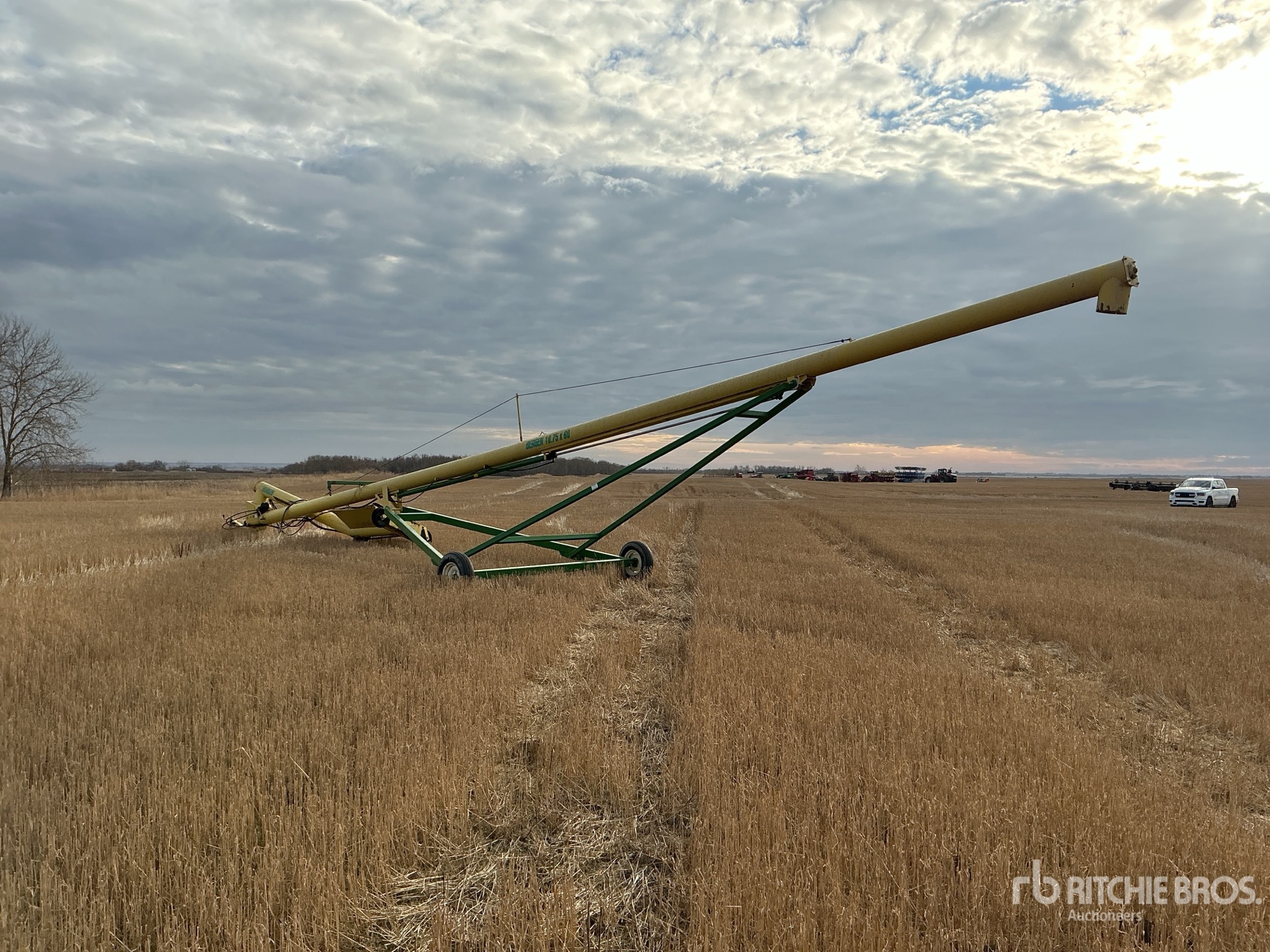 General Appearance with Foto, angolo posteriore sinistro