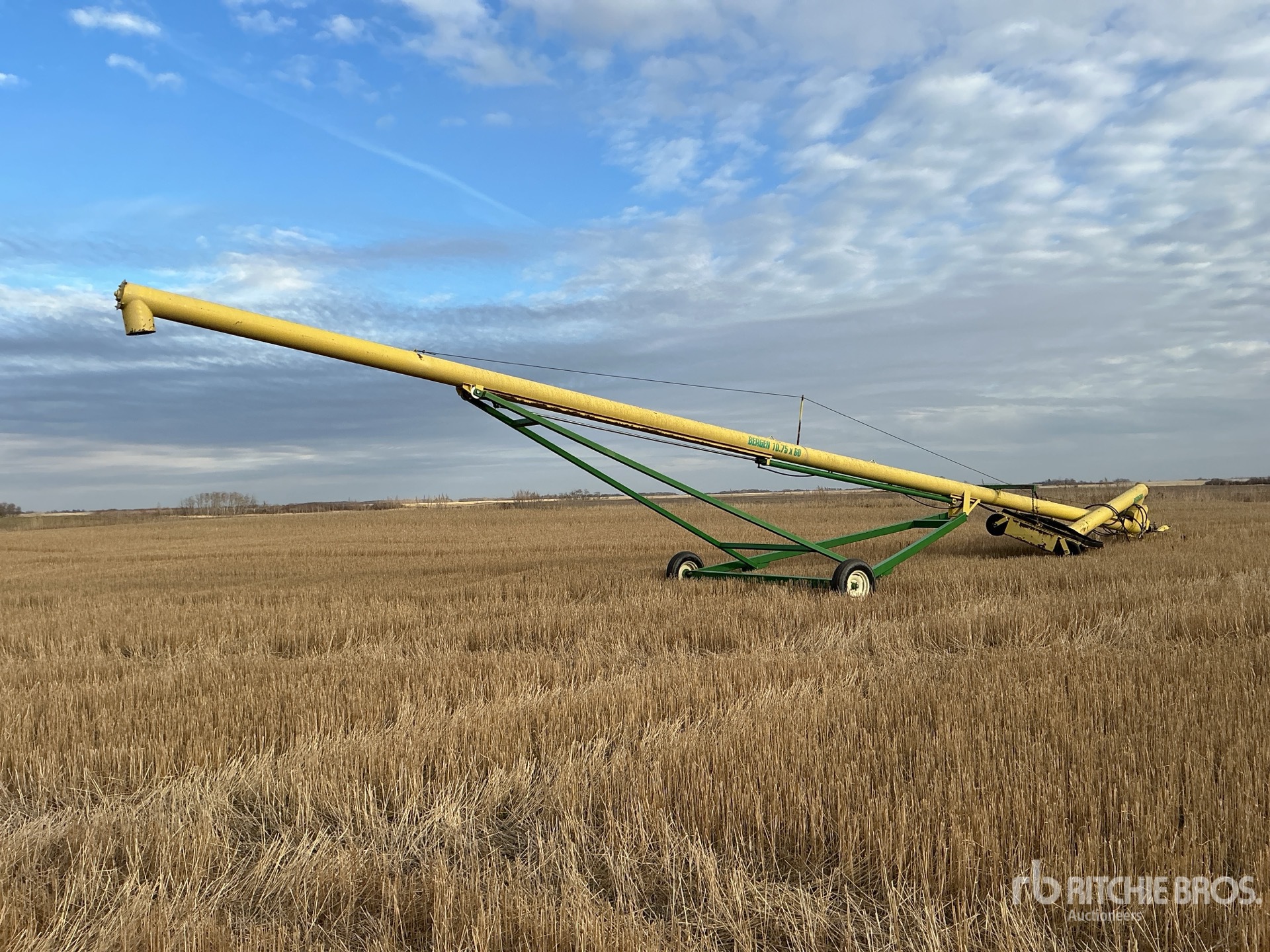 General Appearance with Foto, angolo anteriore sinistro