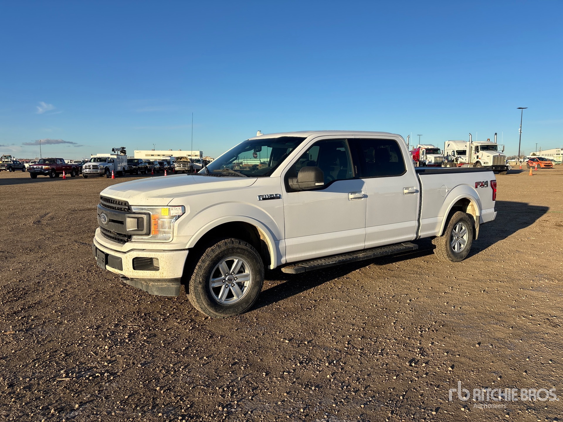 General Appearance with Spin