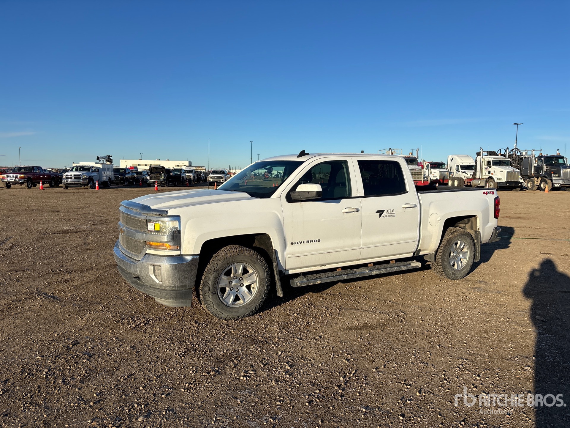 General Appearance with Spin