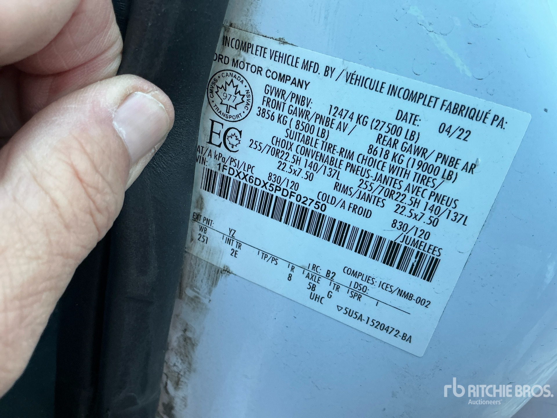 General Appearance with 