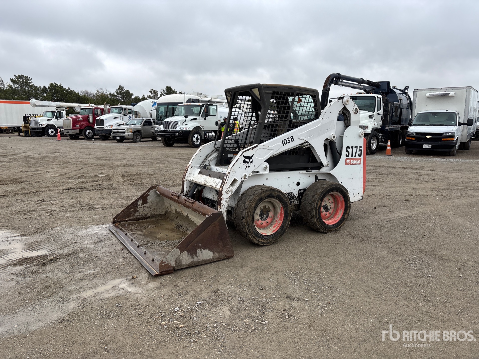 General Appearance with Spin