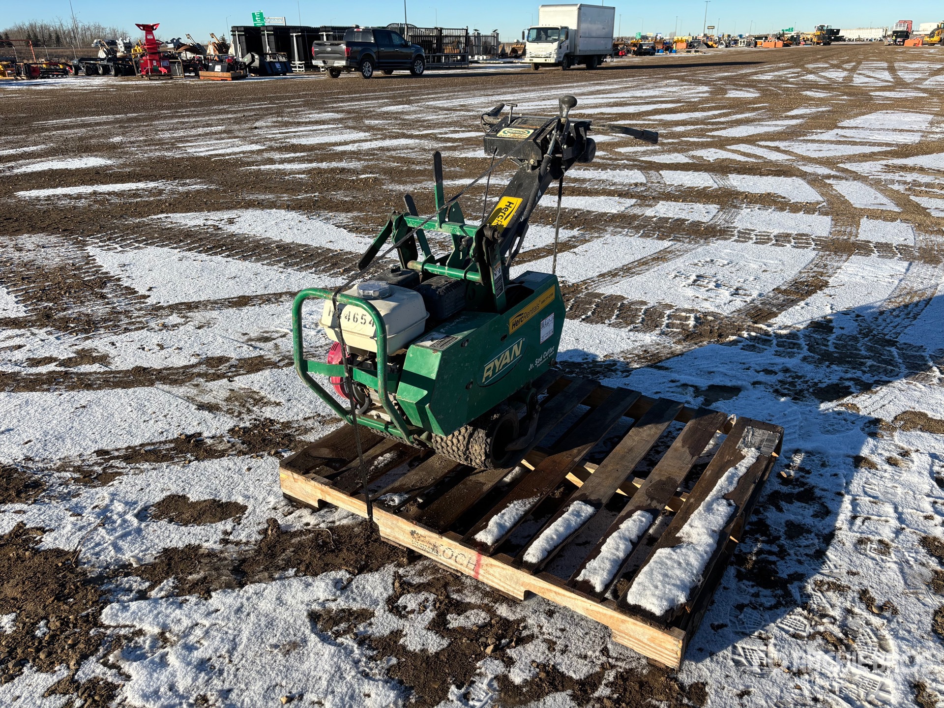 General Appearance with Bild, Ecke vorne links