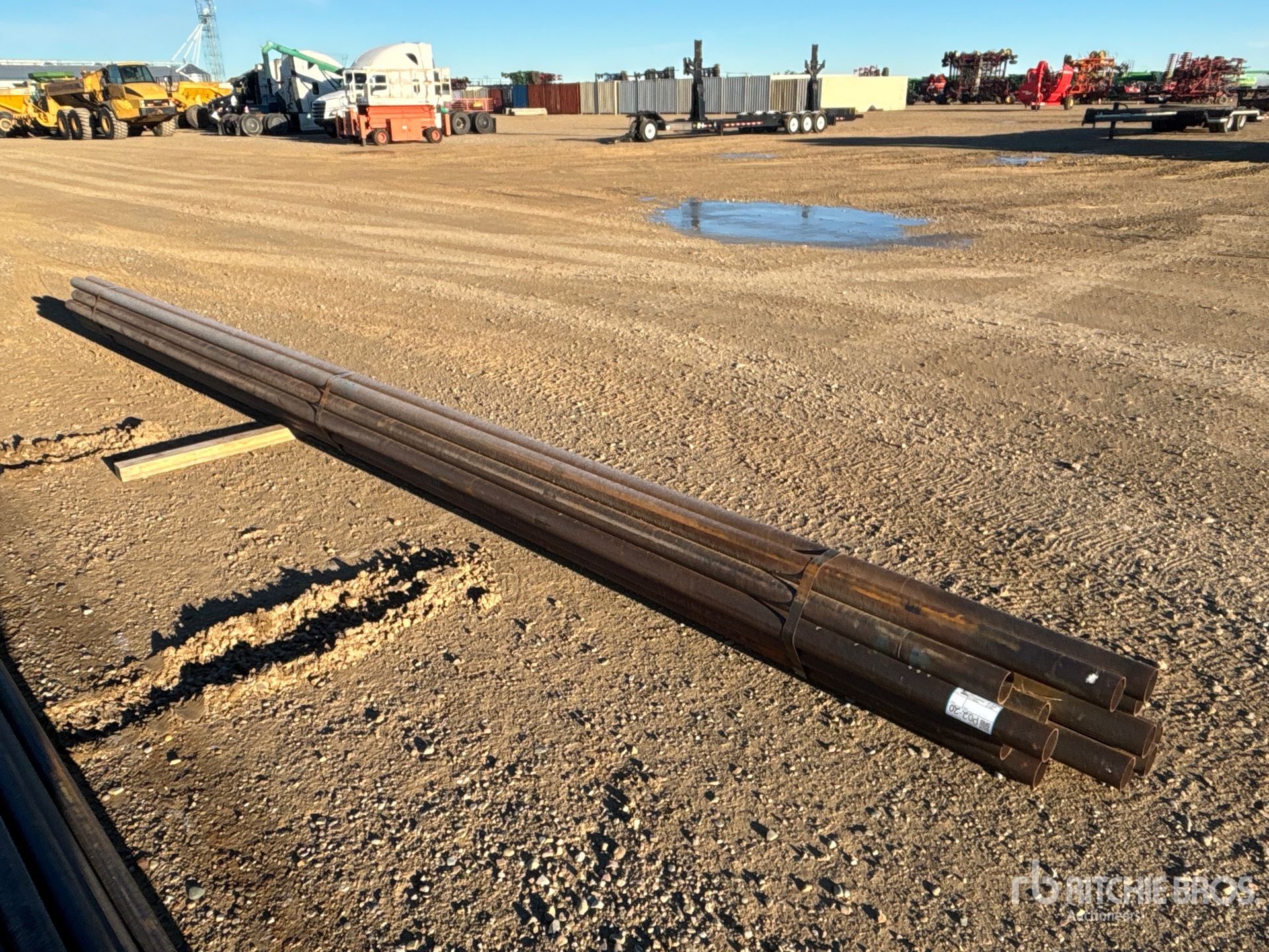 General Appearance with Foto, angolo anteriore sinistro