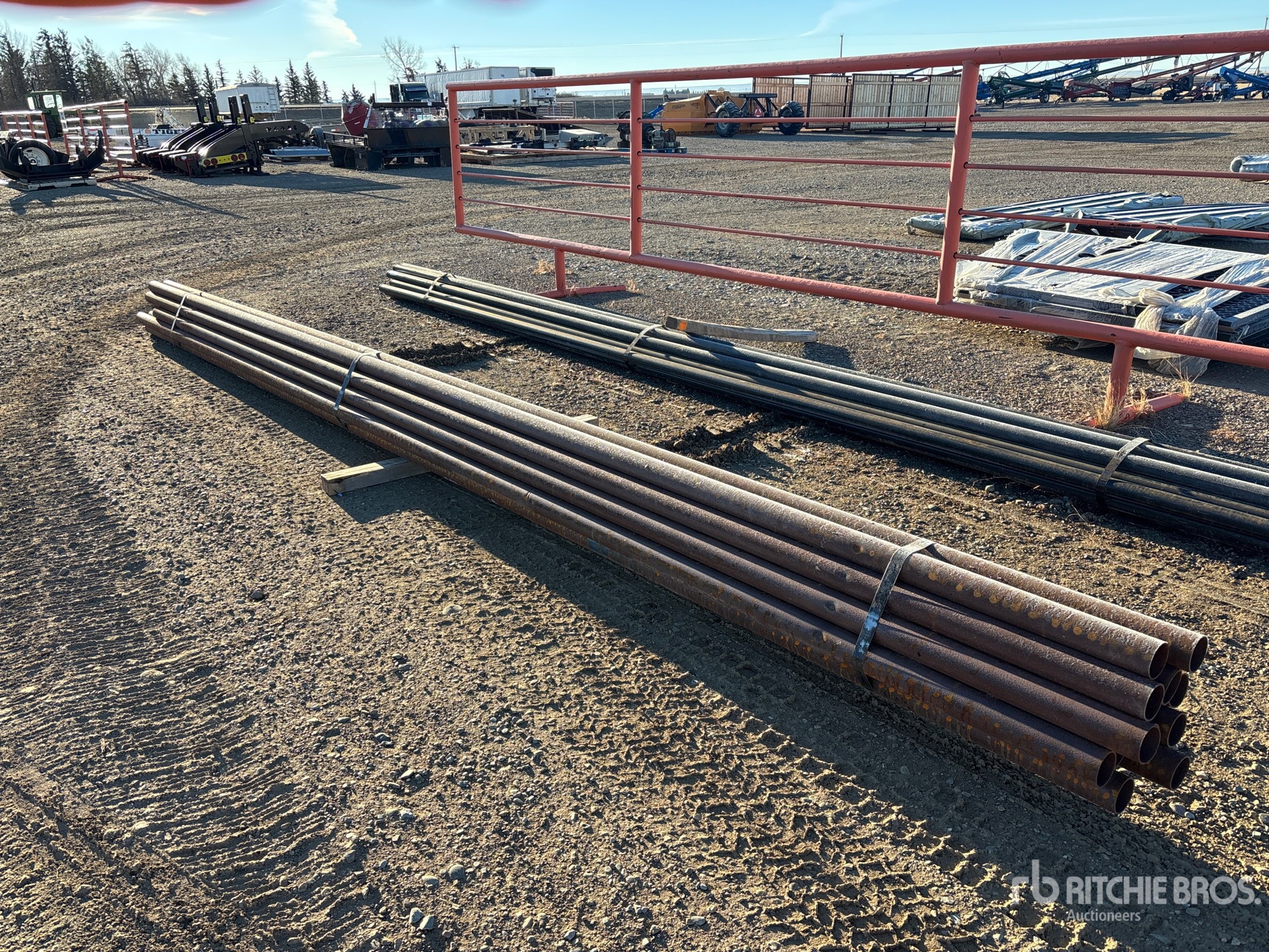 General Appearance with Foto, angolo anteriore sinistro