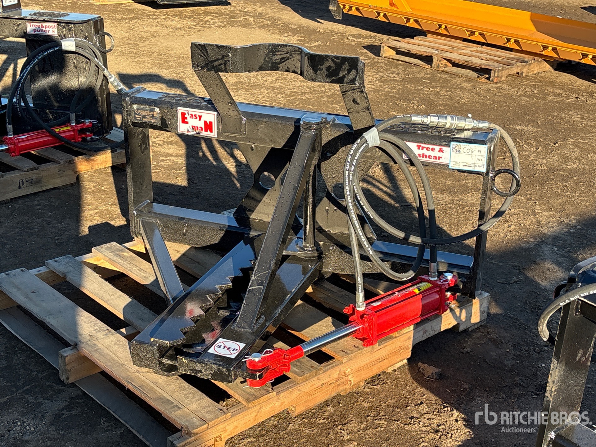 General Appearance with Bild, Ecke vorne links