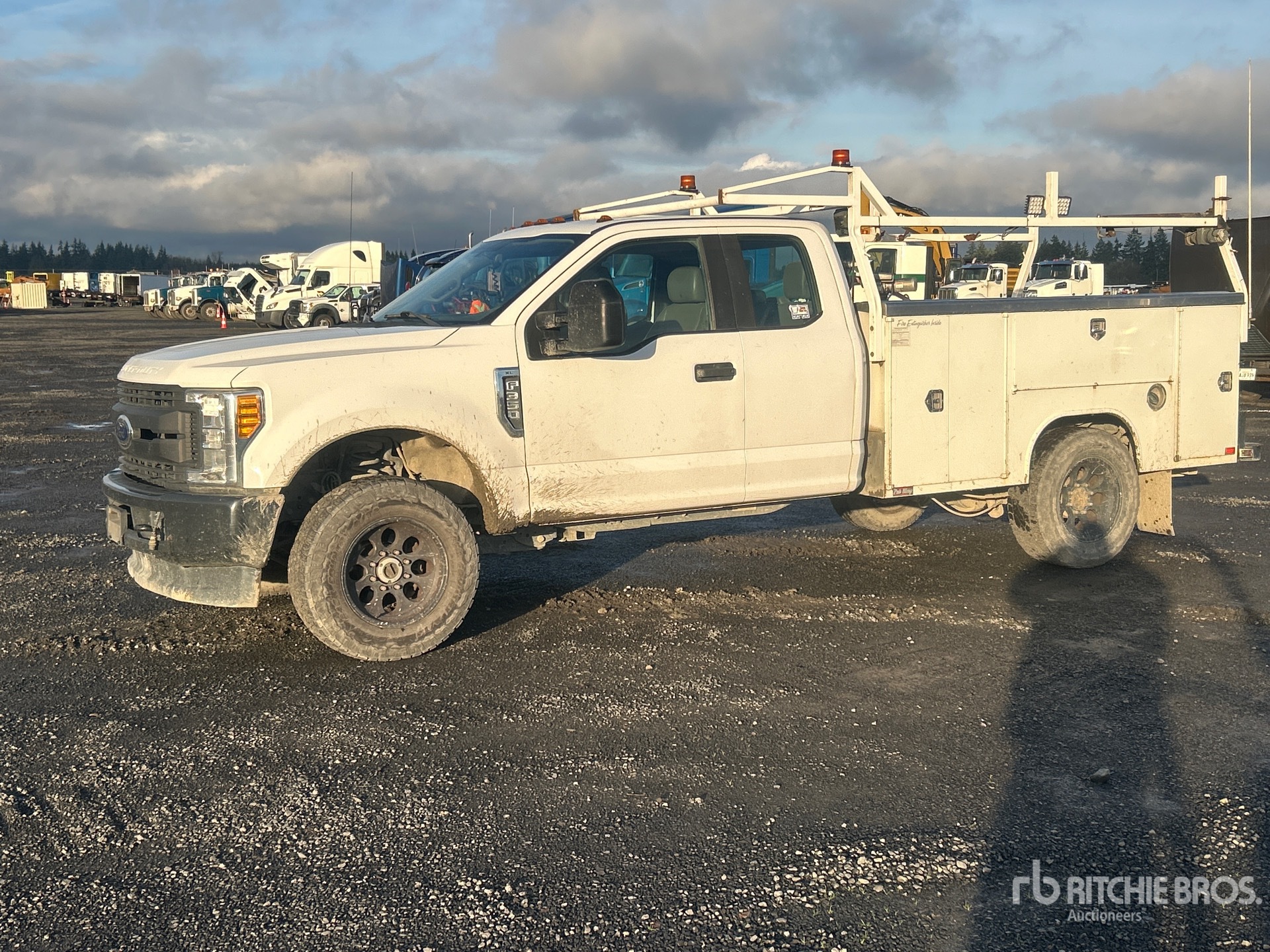 General Appearance with Spin