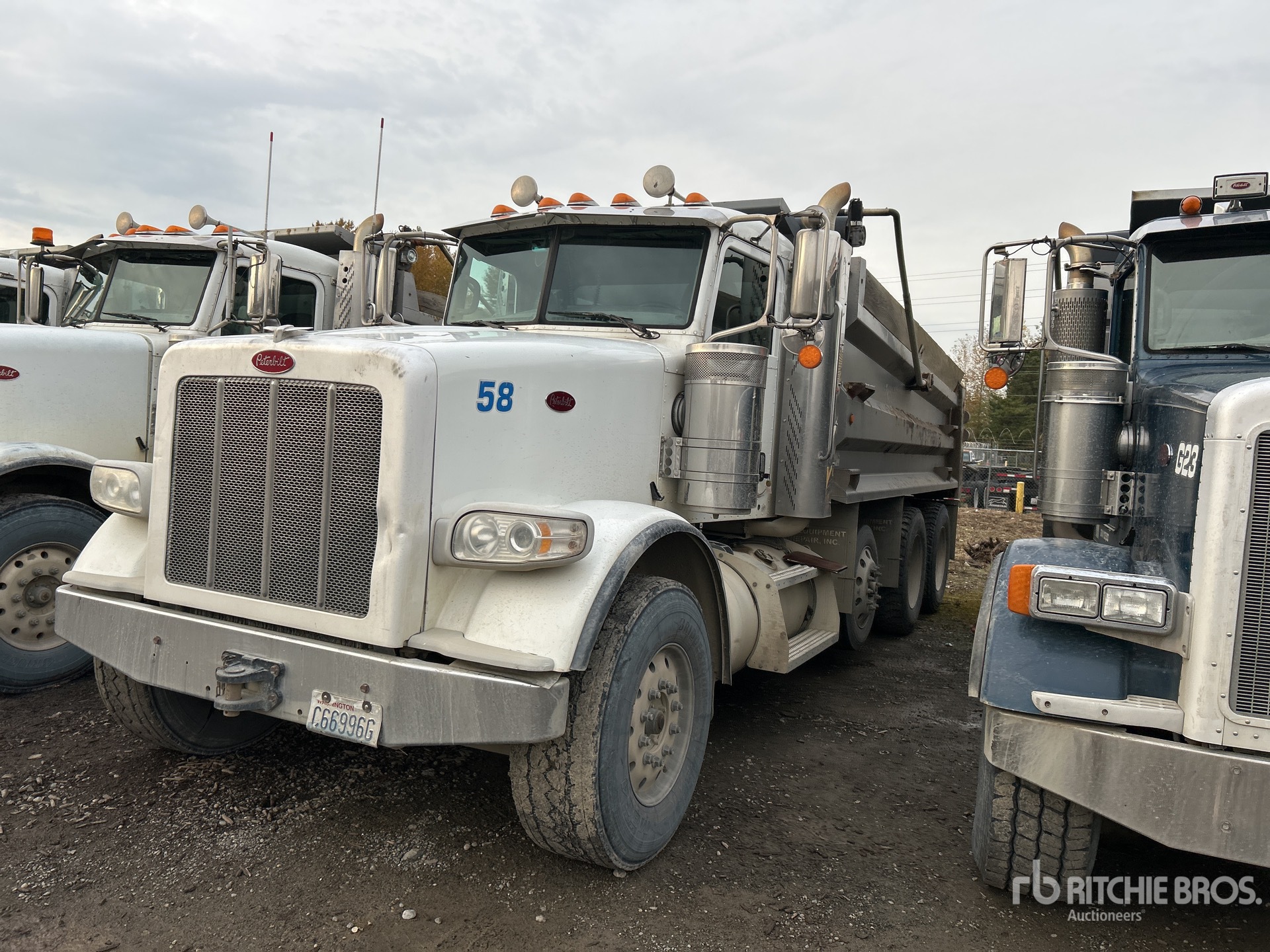 General Appearance with 