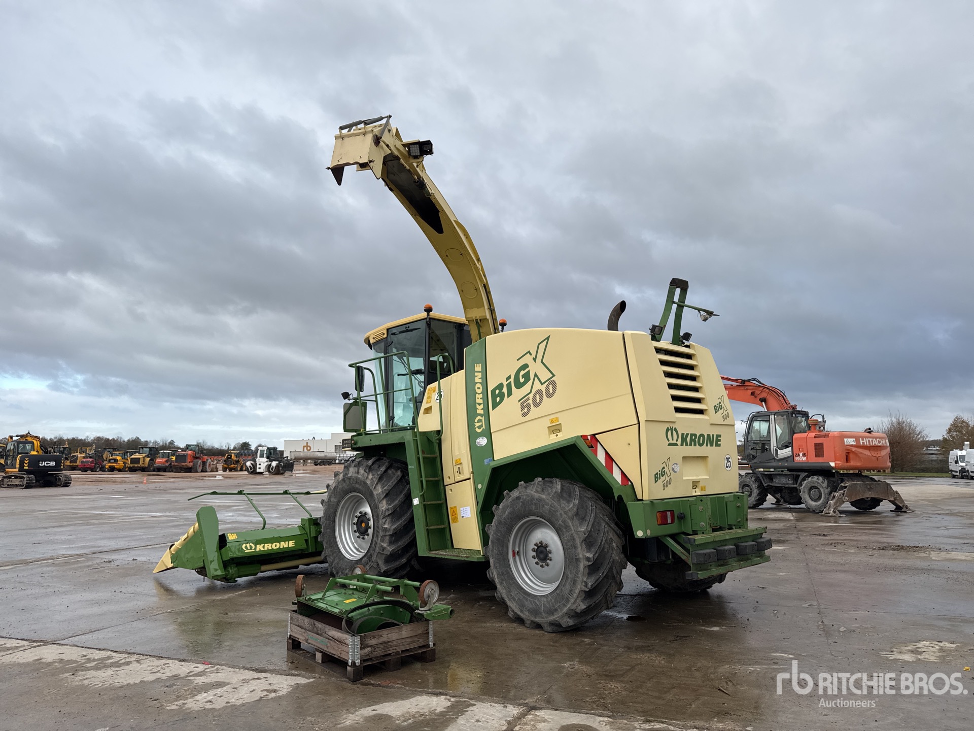 General Appearance with 