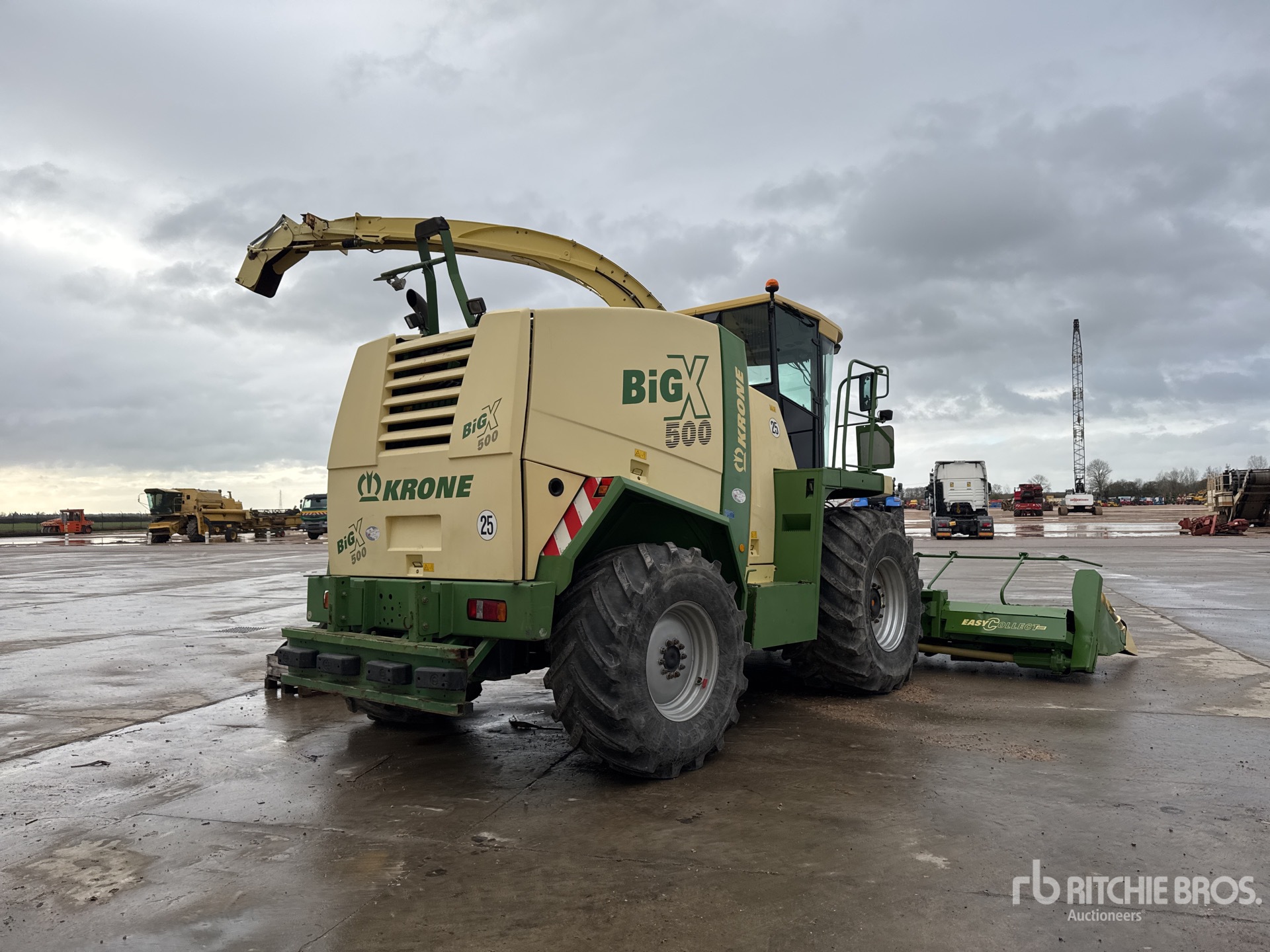 General Appearance with 