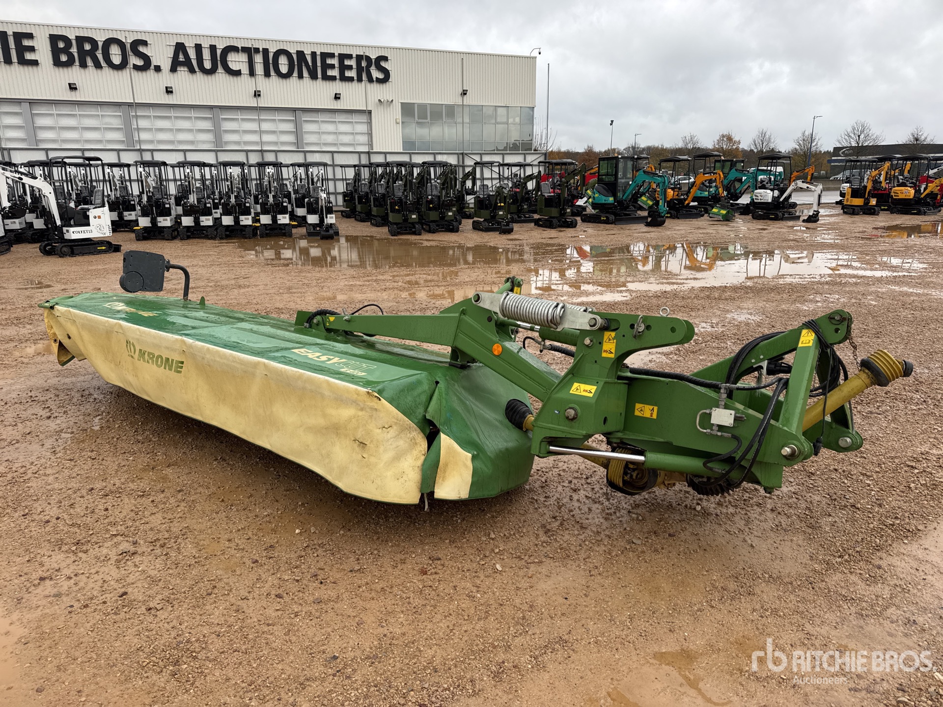 General Appearance with