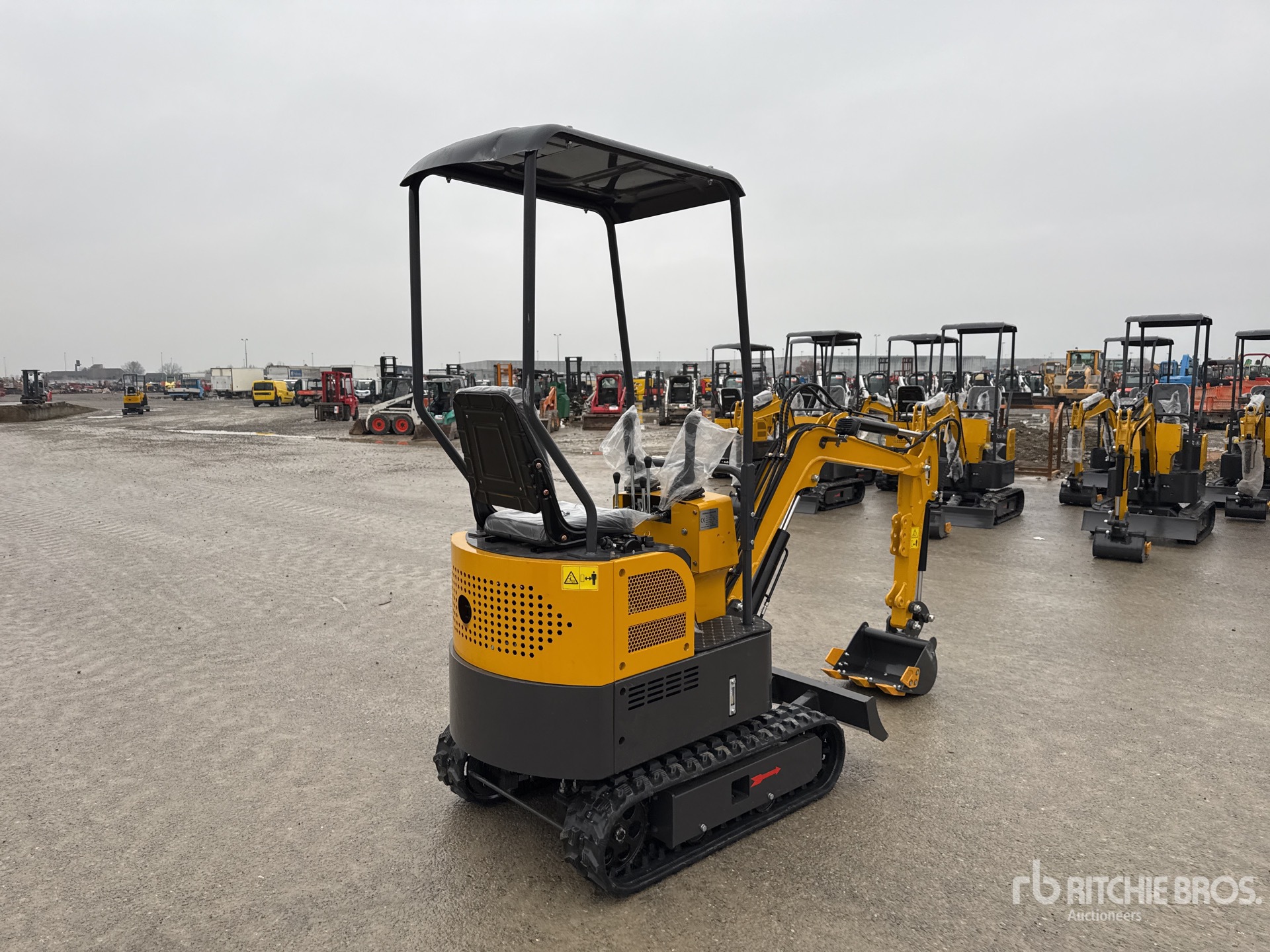 General Appearance with 