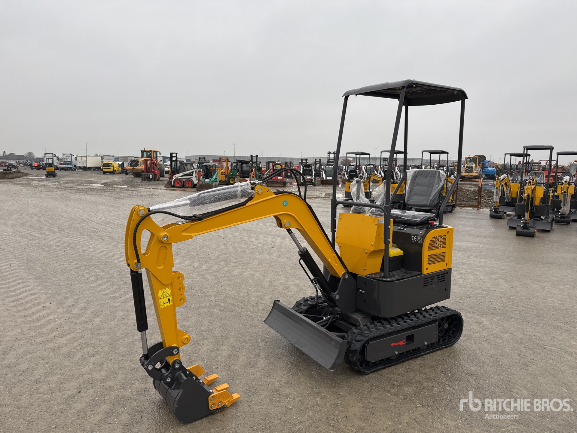 General Appearance with 