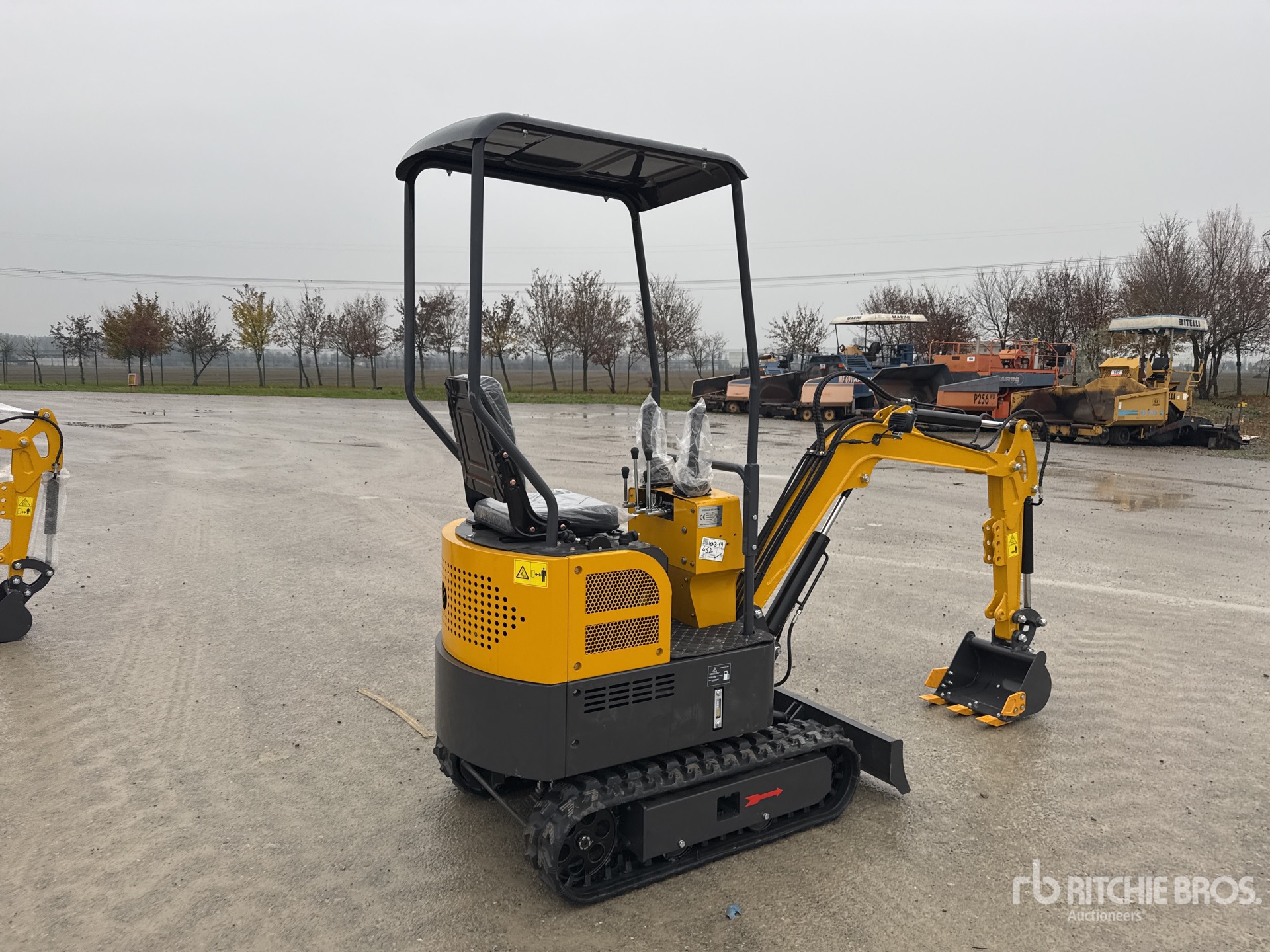 General Appearance with 