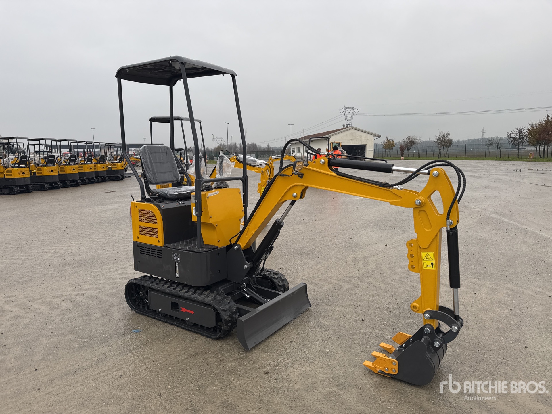 General Appearance with 