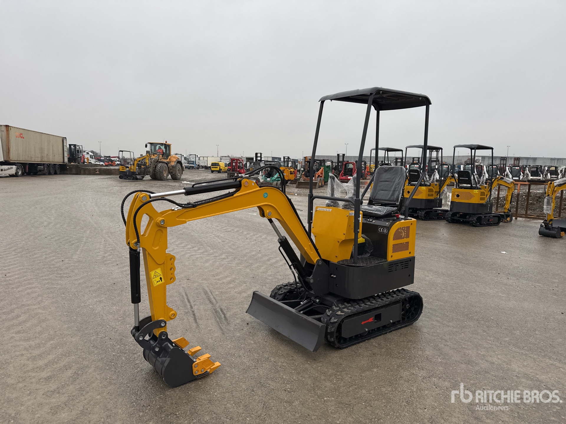 General Appearance with 