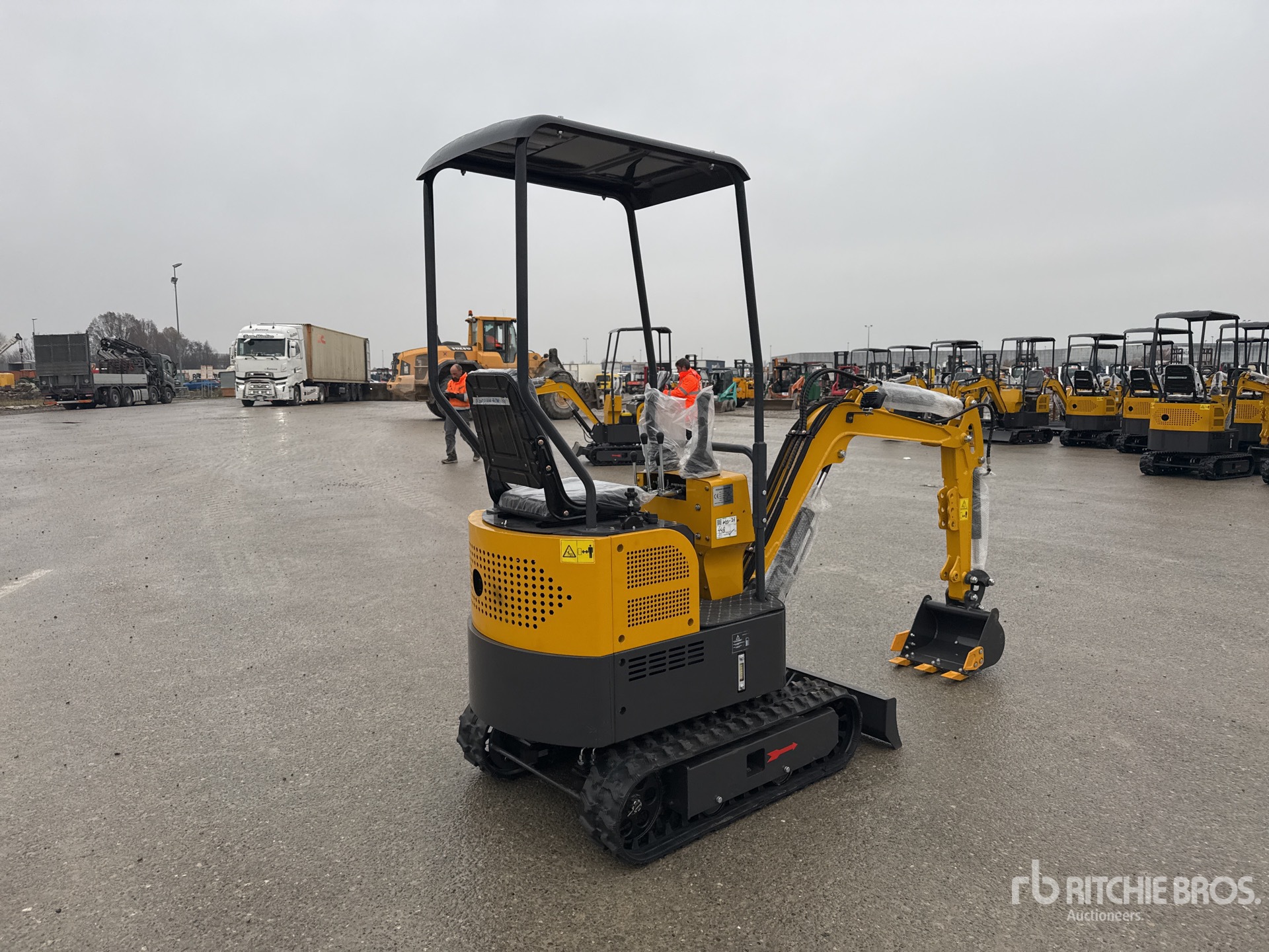 General Appearance with 