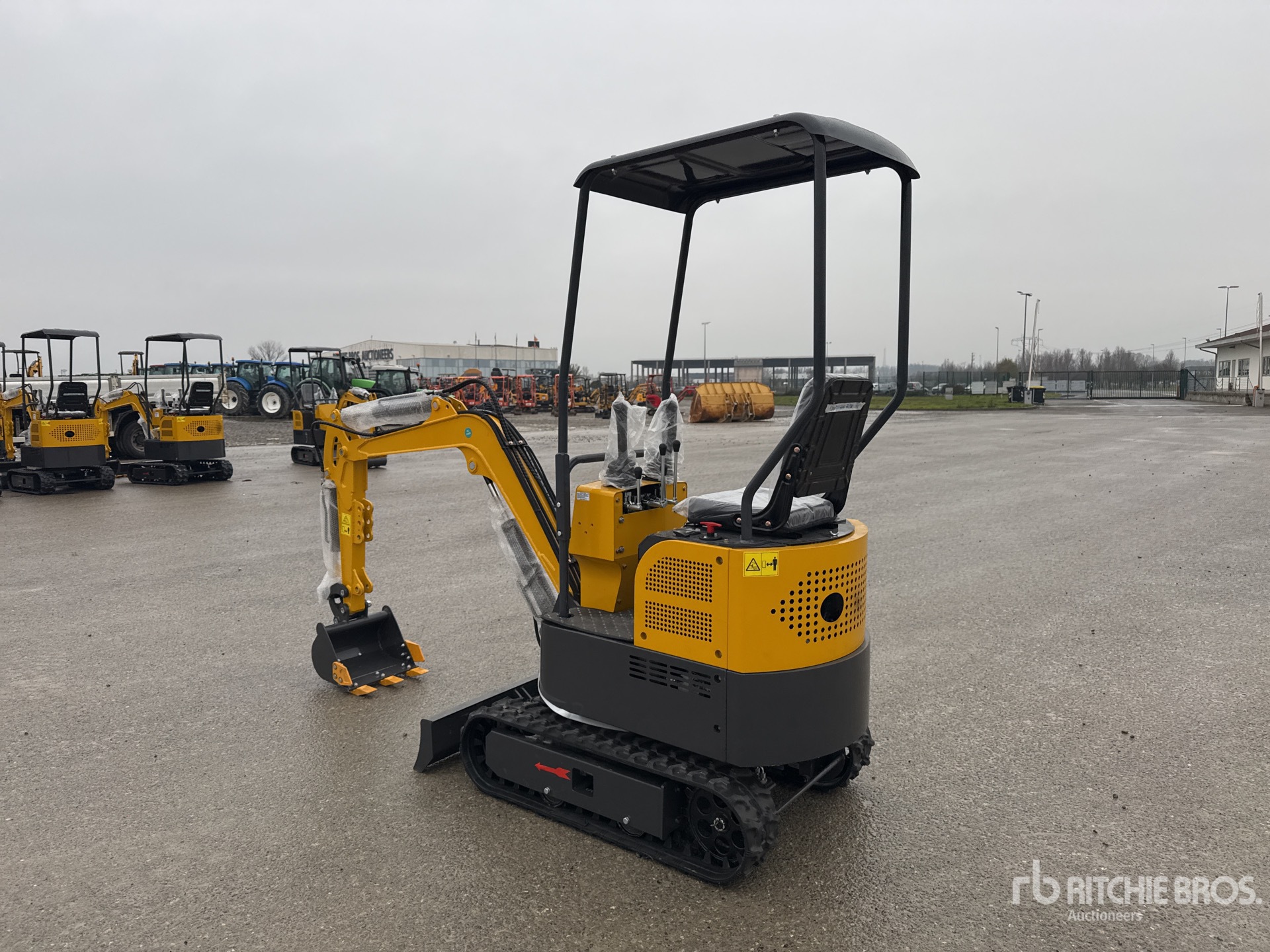 General Appearance with 