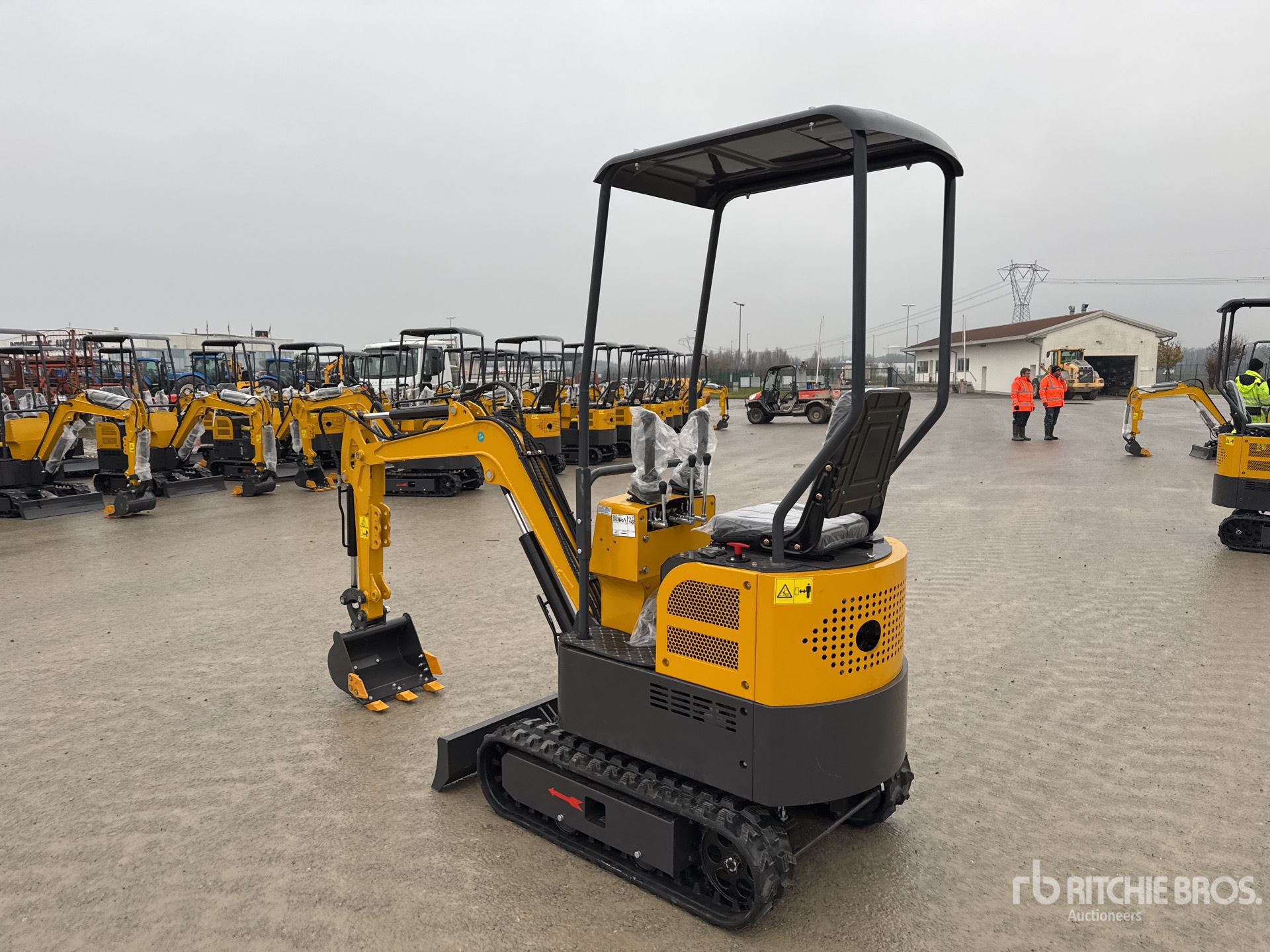 General Appearance with 