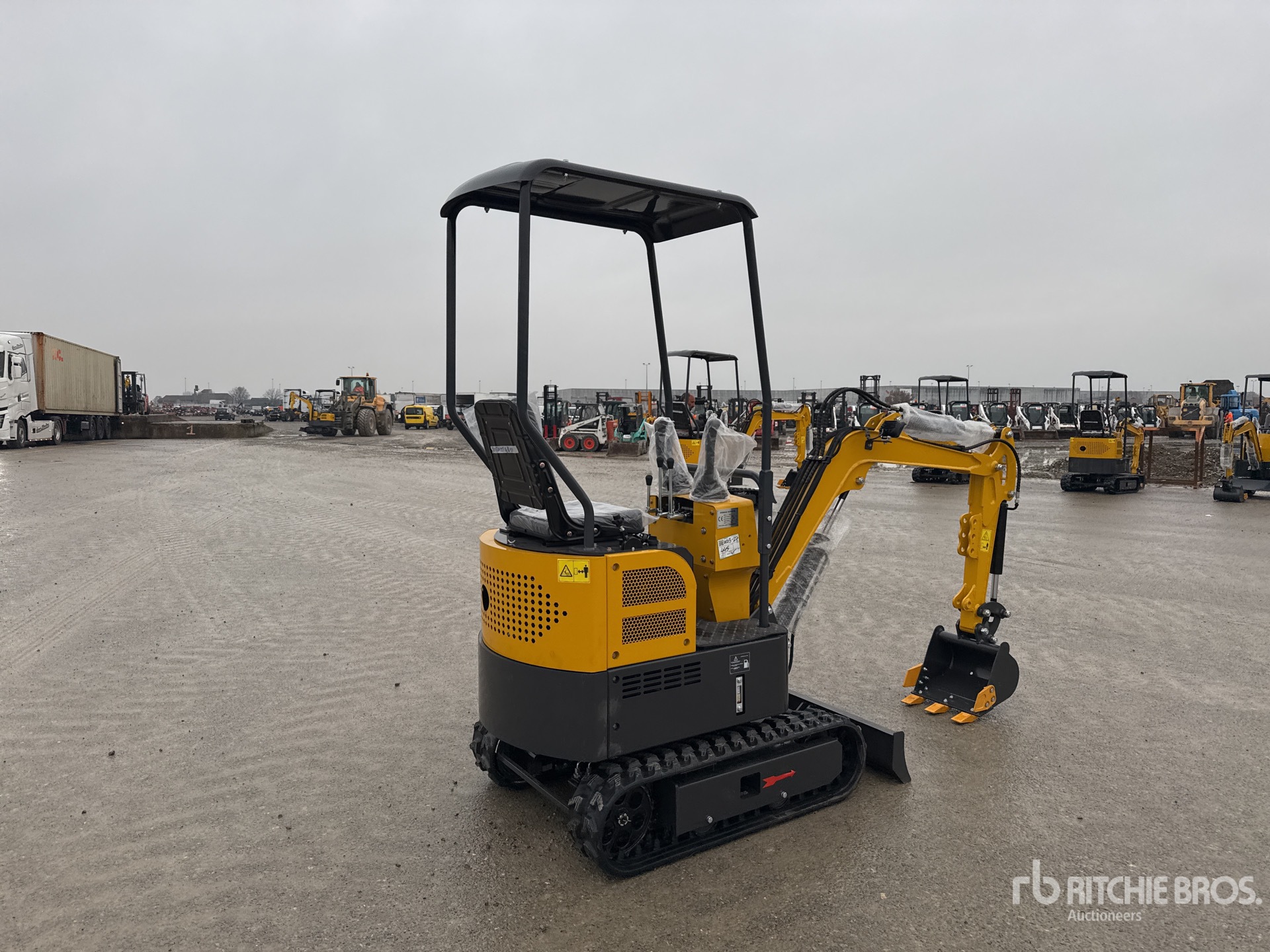 General Appearance with 