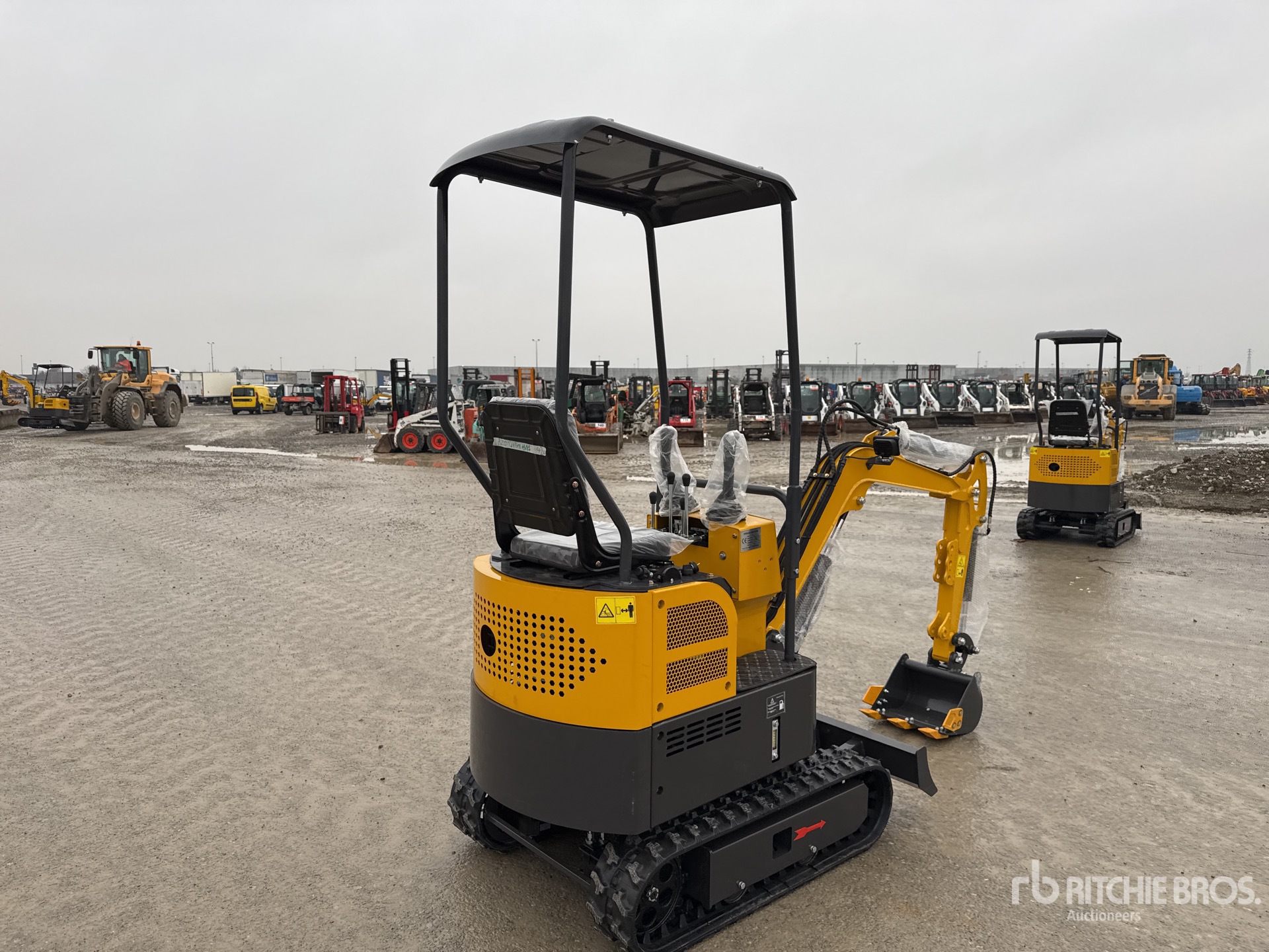 General Appearance with 