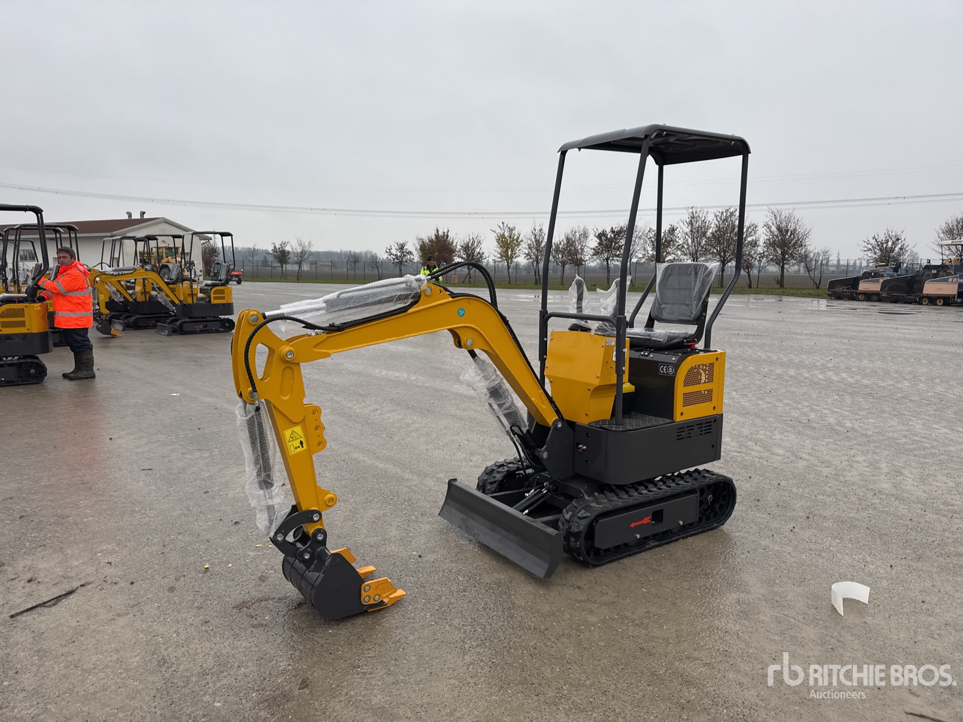 General Appearance with 