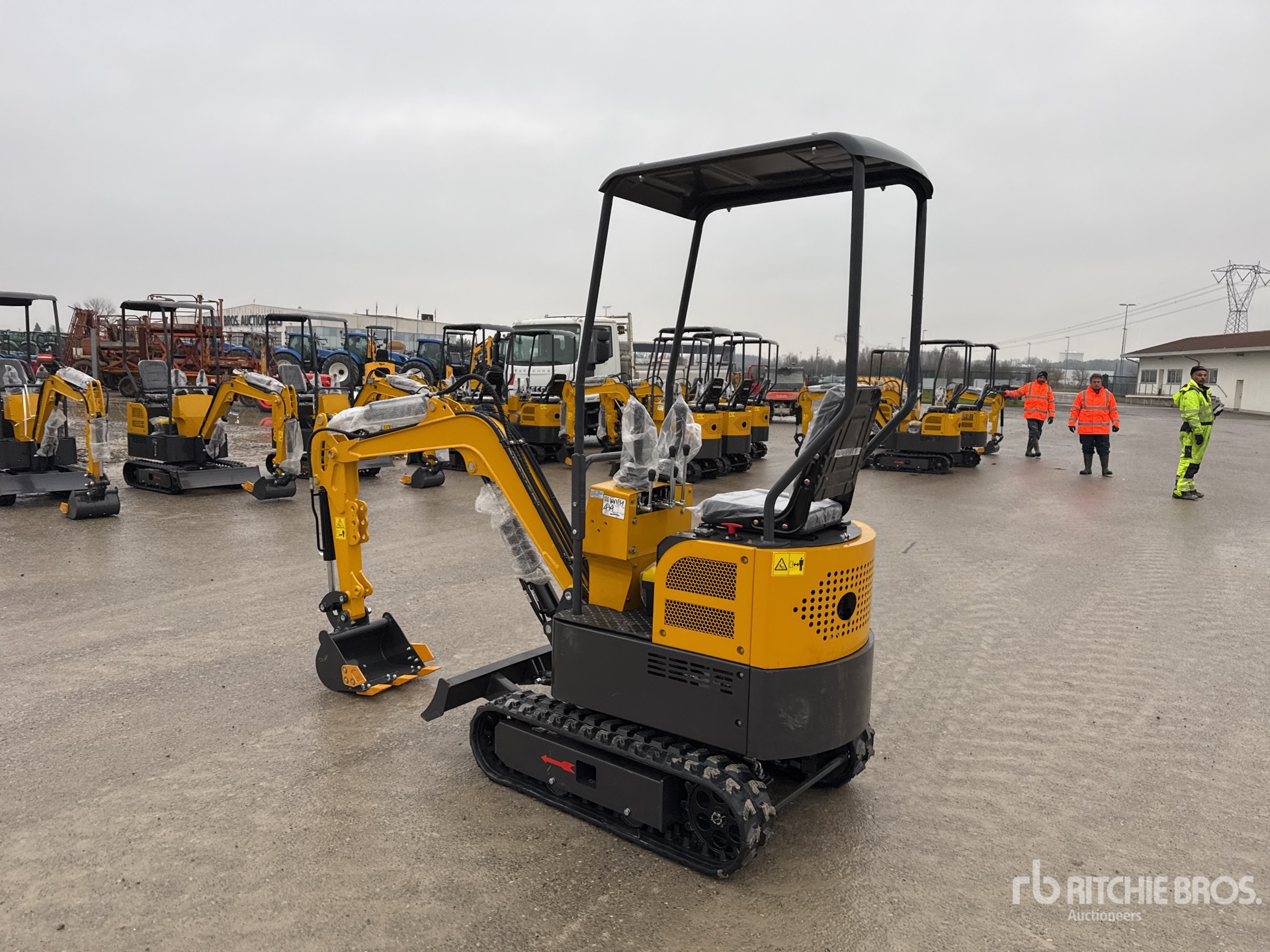 General Appearance with