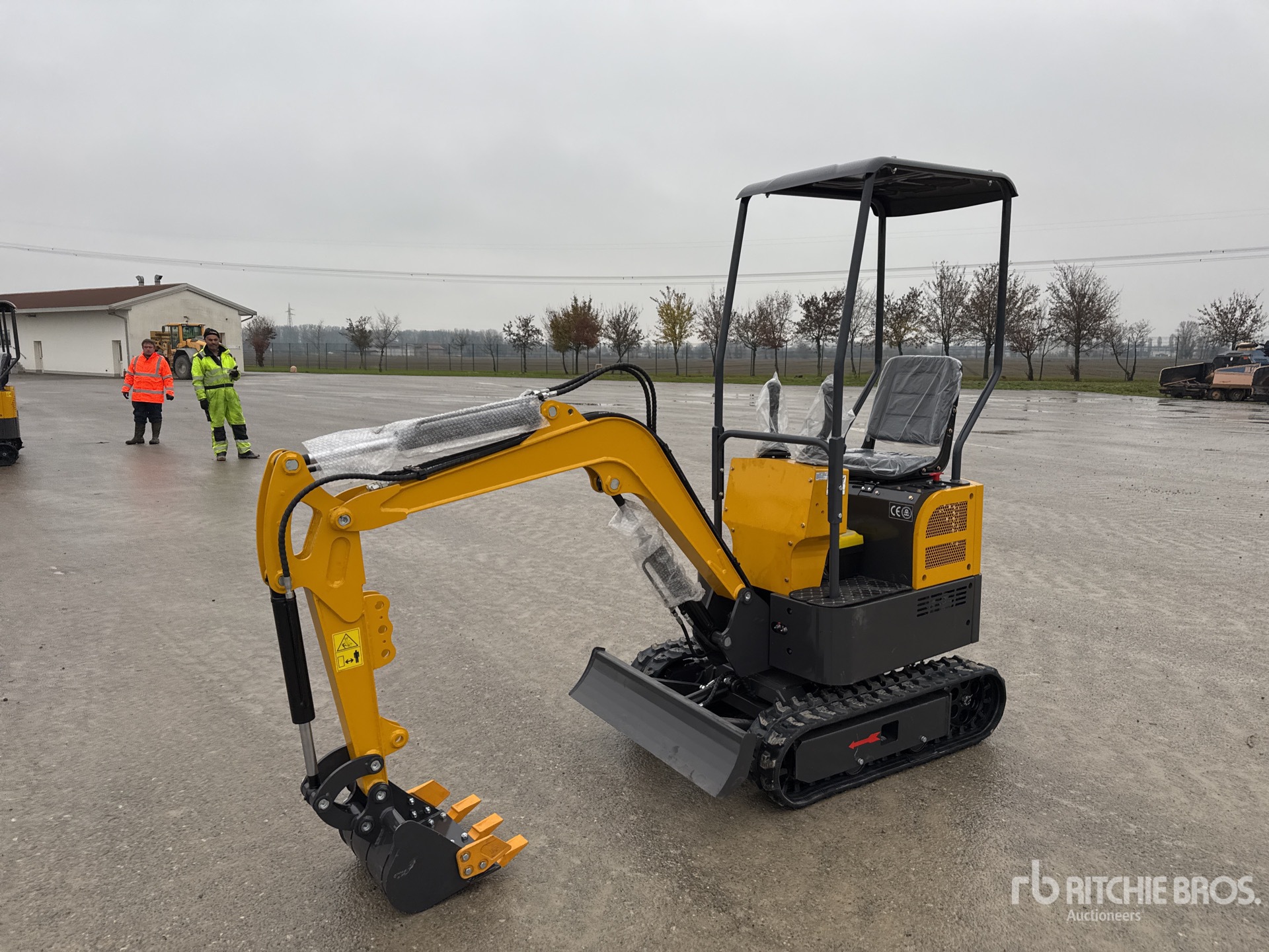 General Appearance with