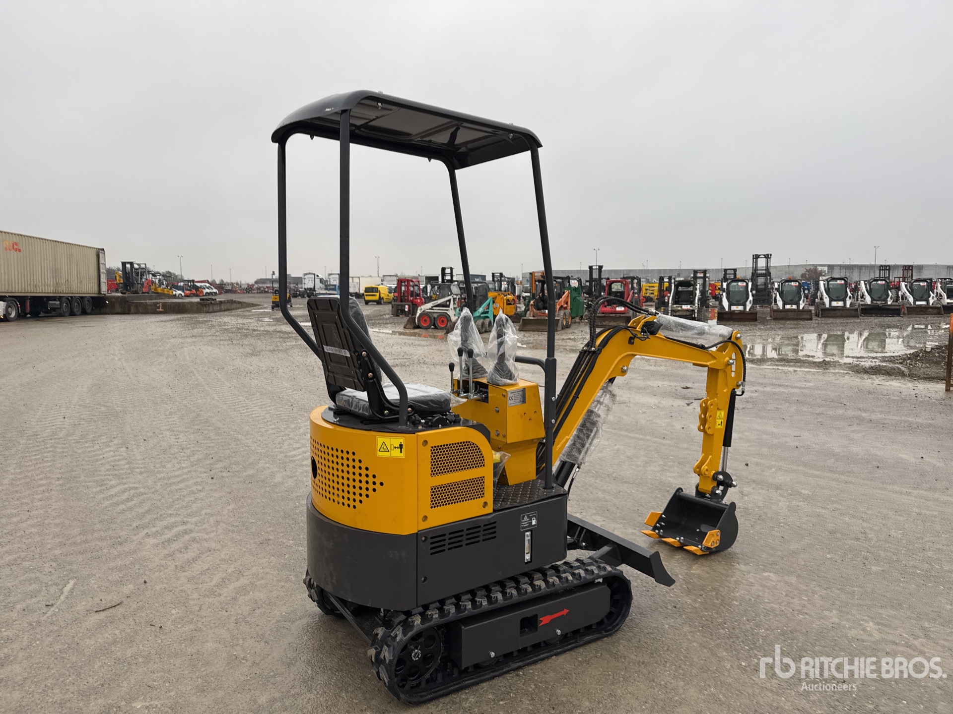 General Appearance with