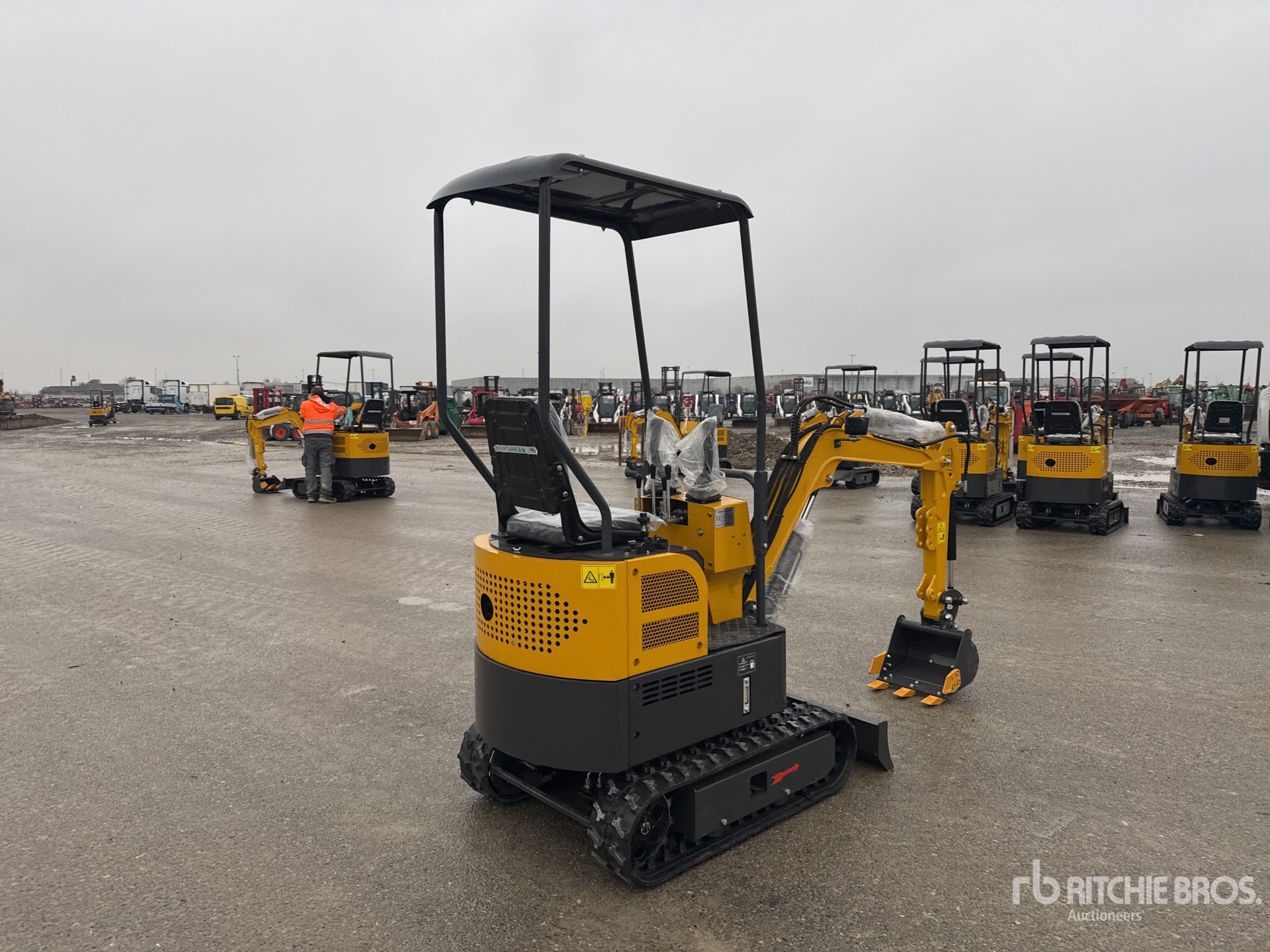 General Appearance with