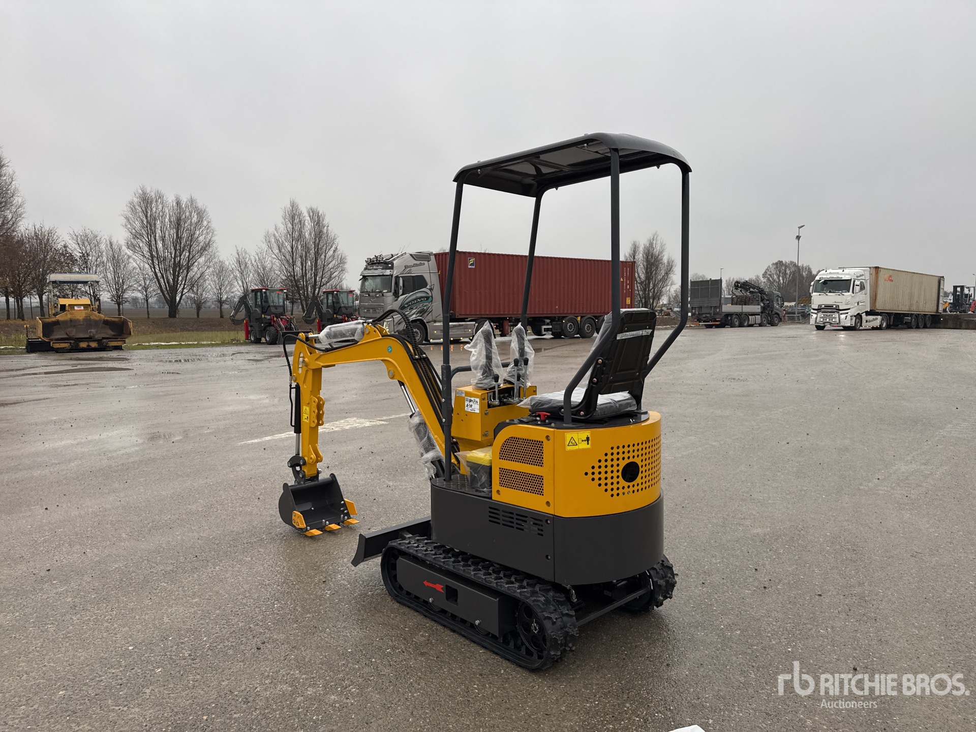 General Appearance with 