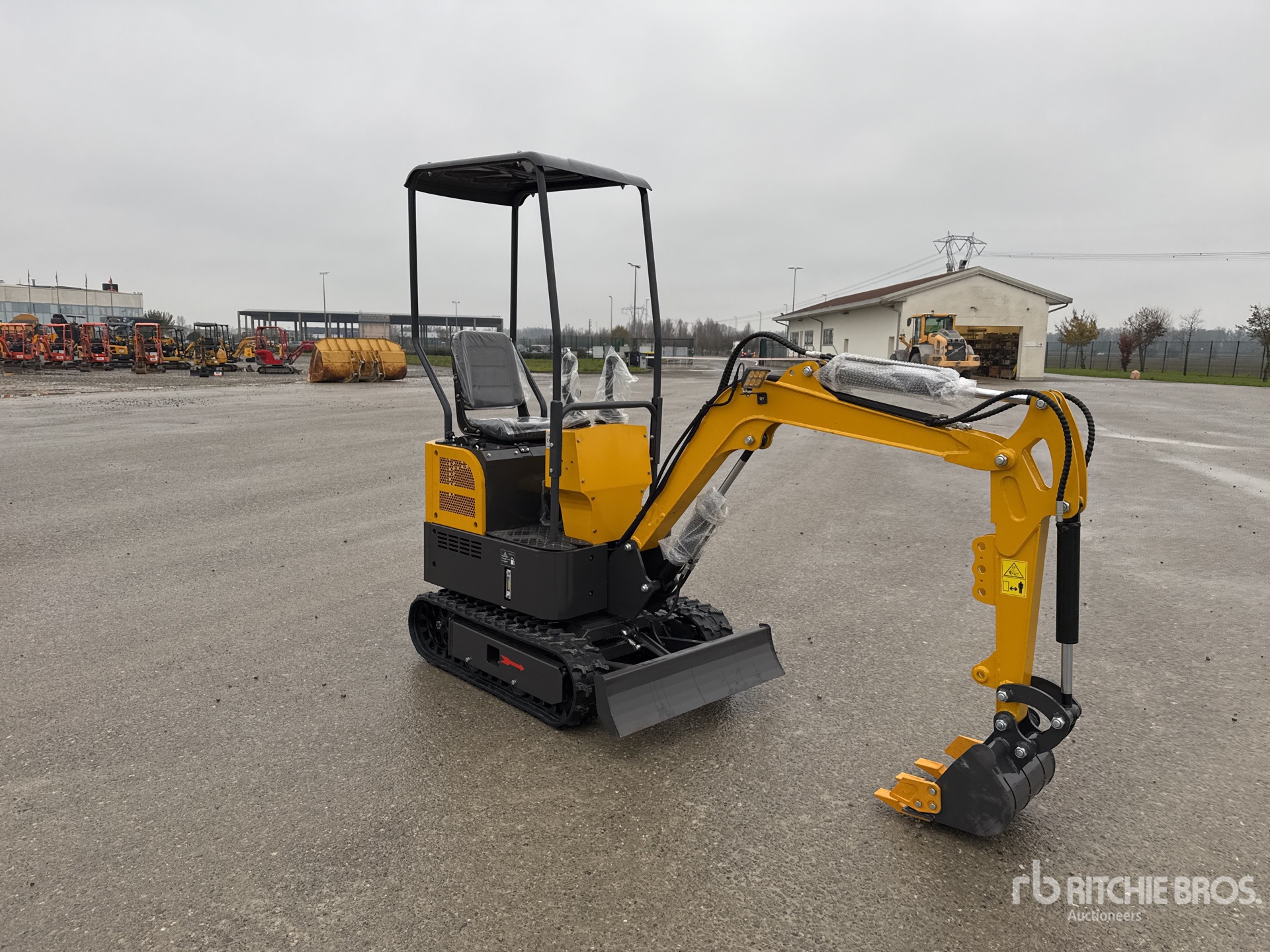 General Appearance with 