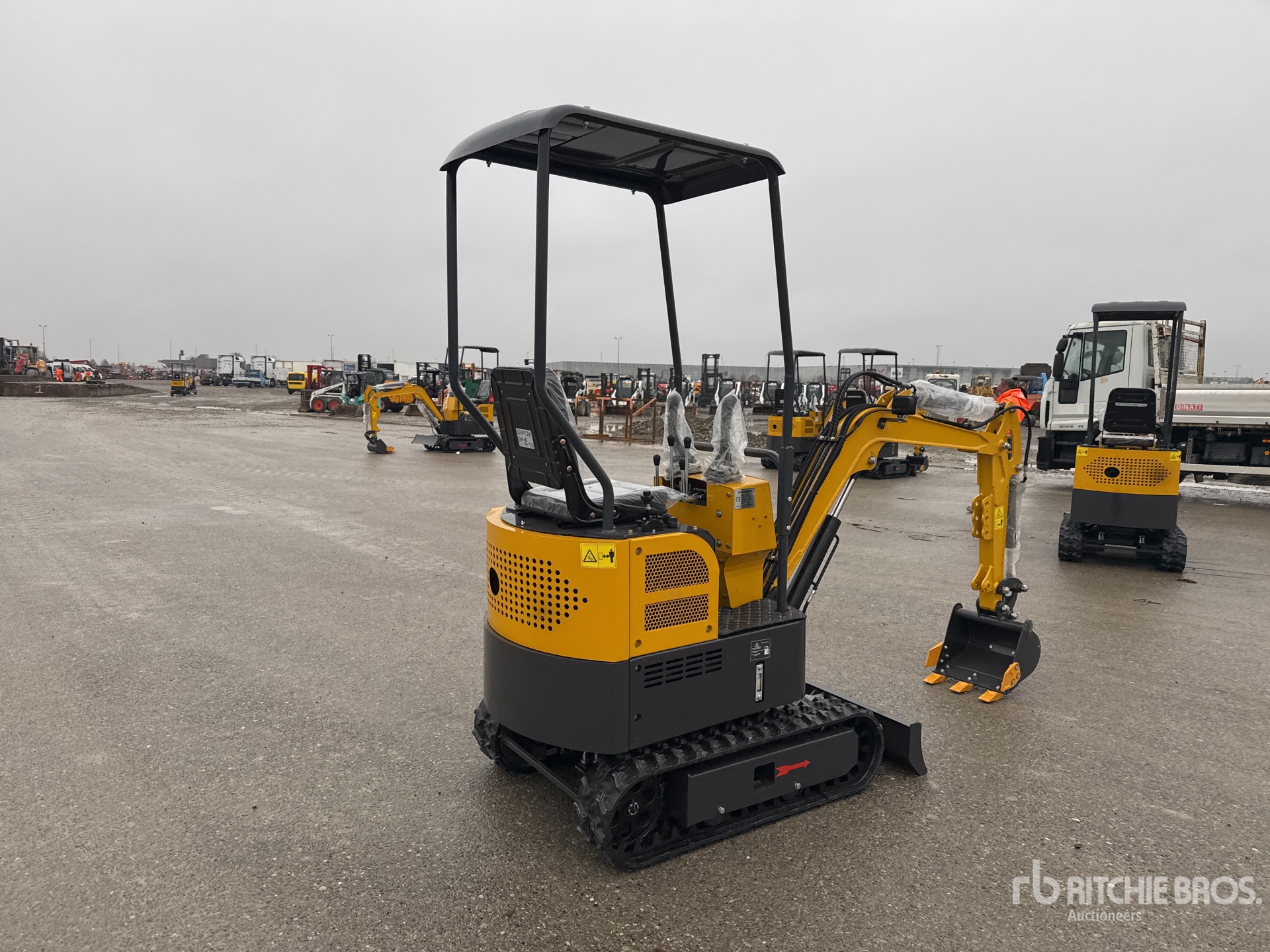 General Appearance with 