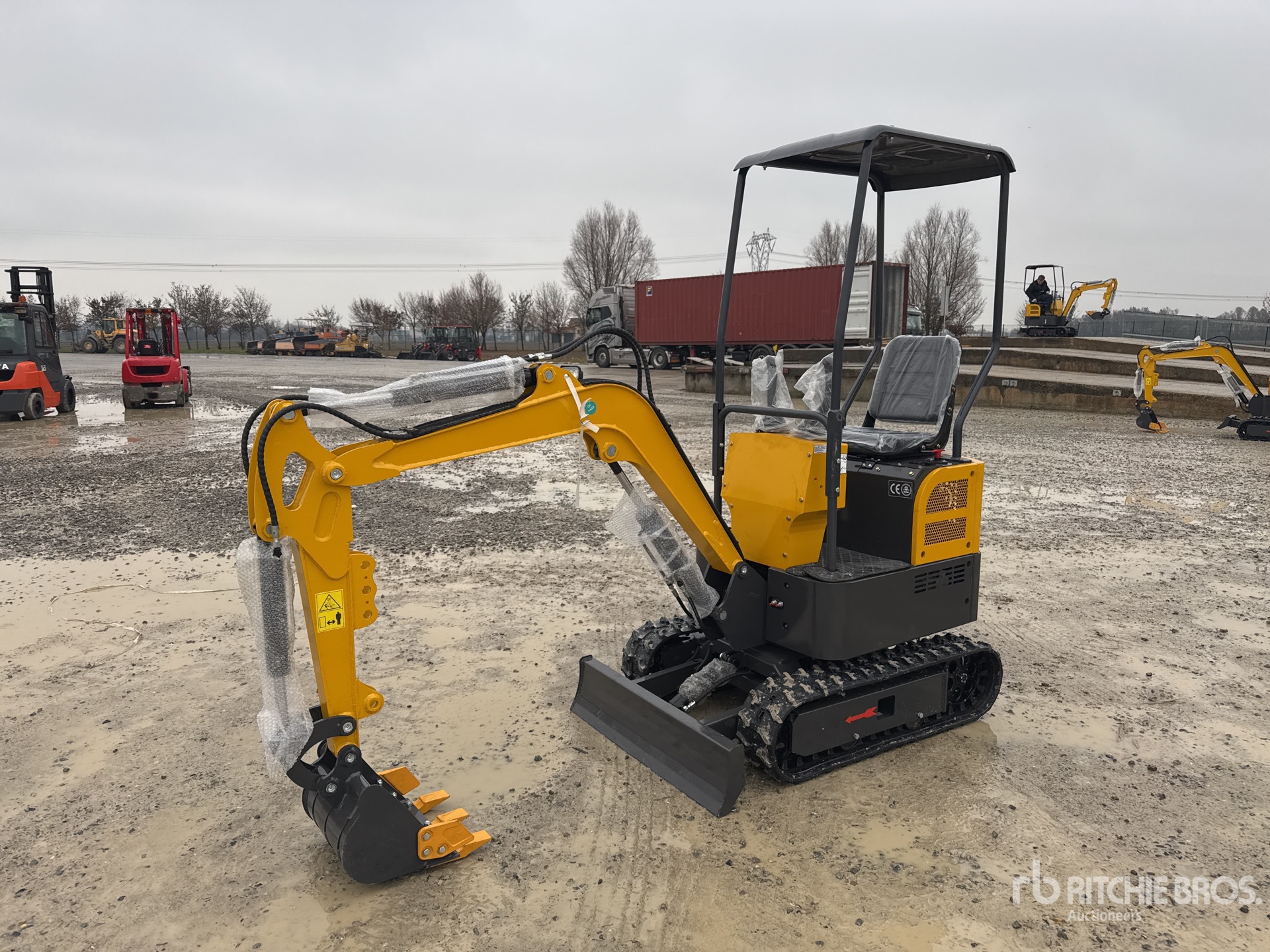 General Appearance with 