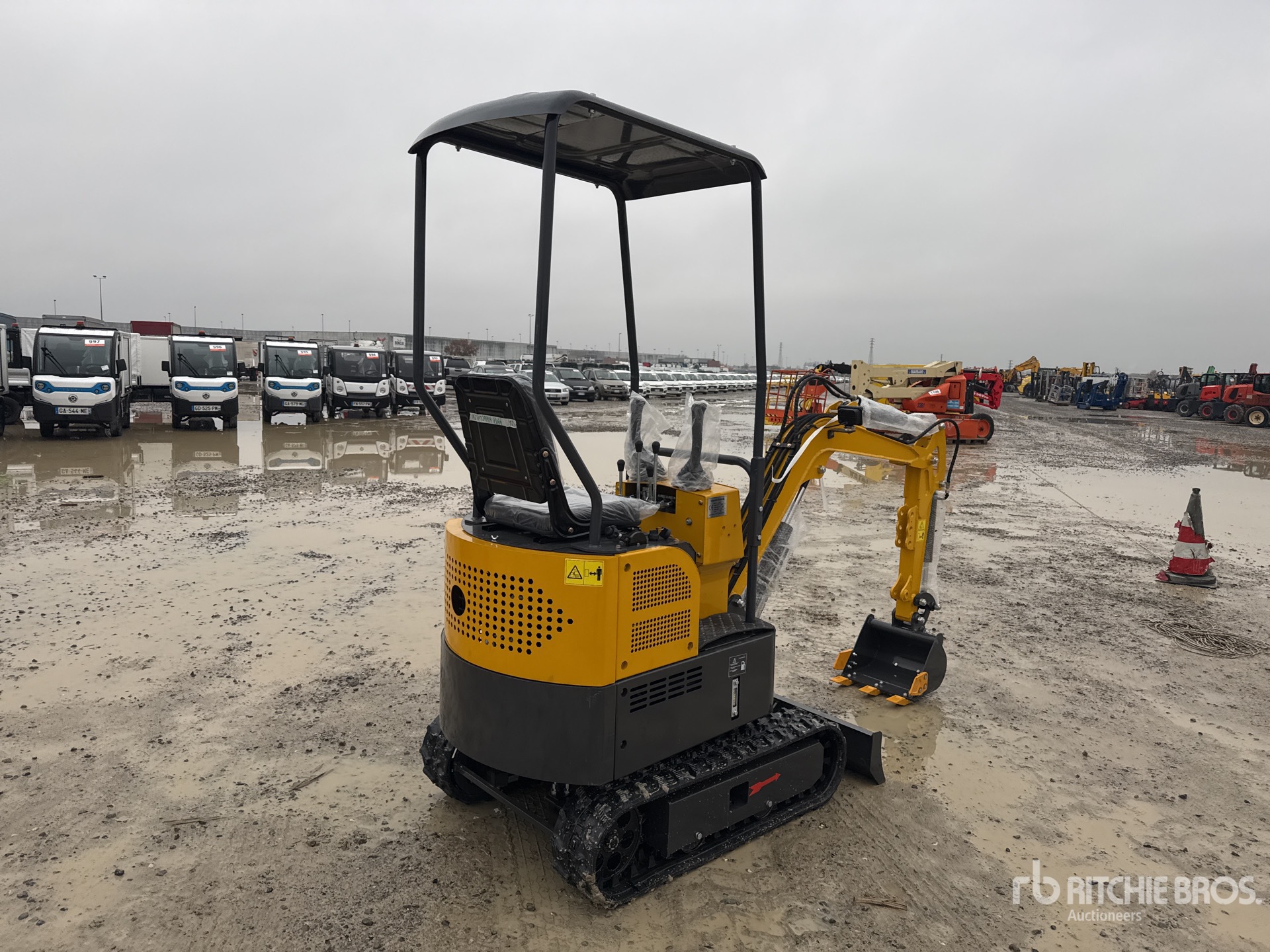 General Appearance with 