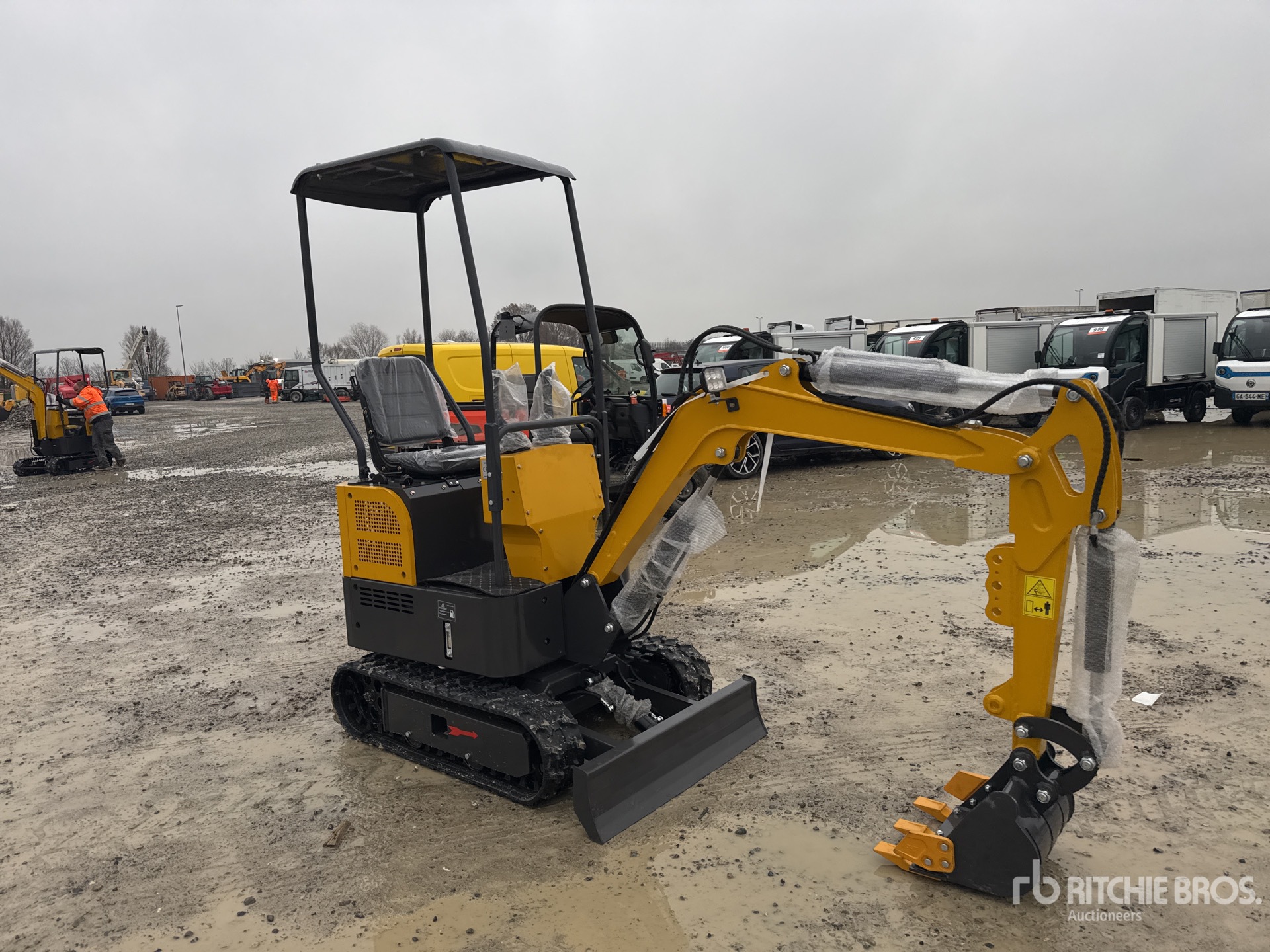 General Appearance with 