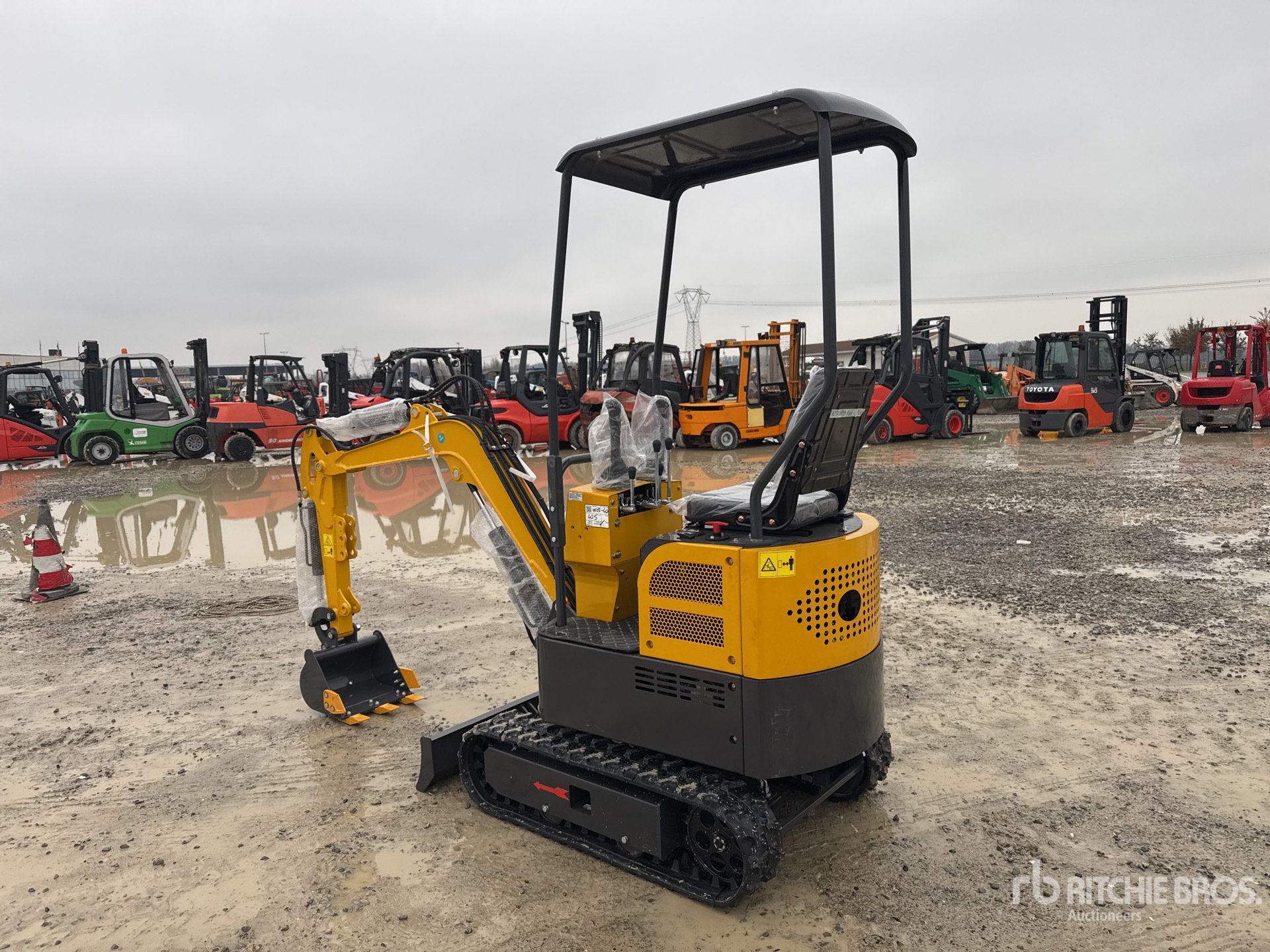 General Appearance with 