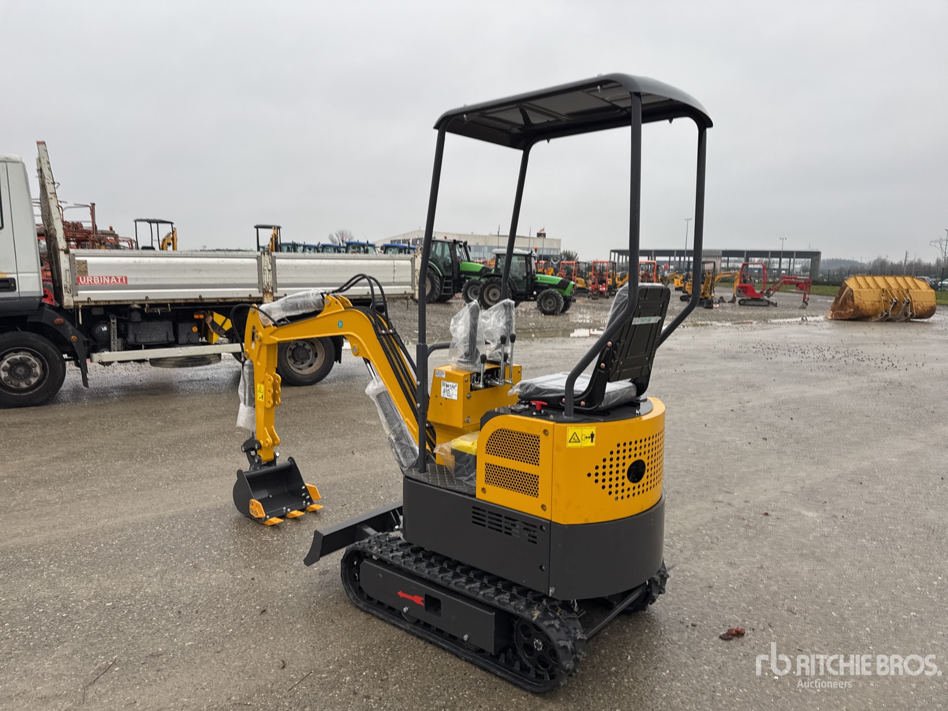 General Appearance with 