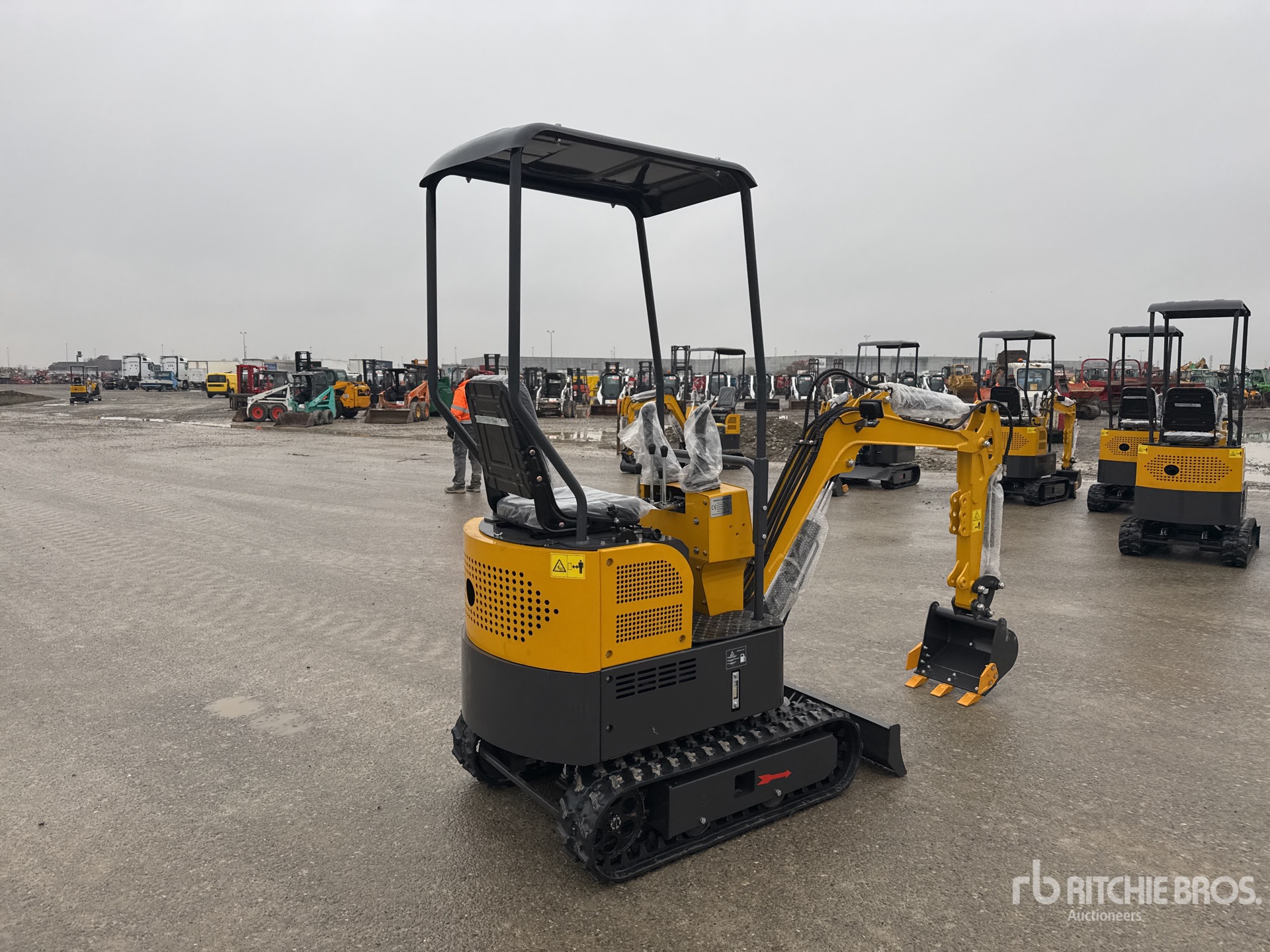 General Appearance with