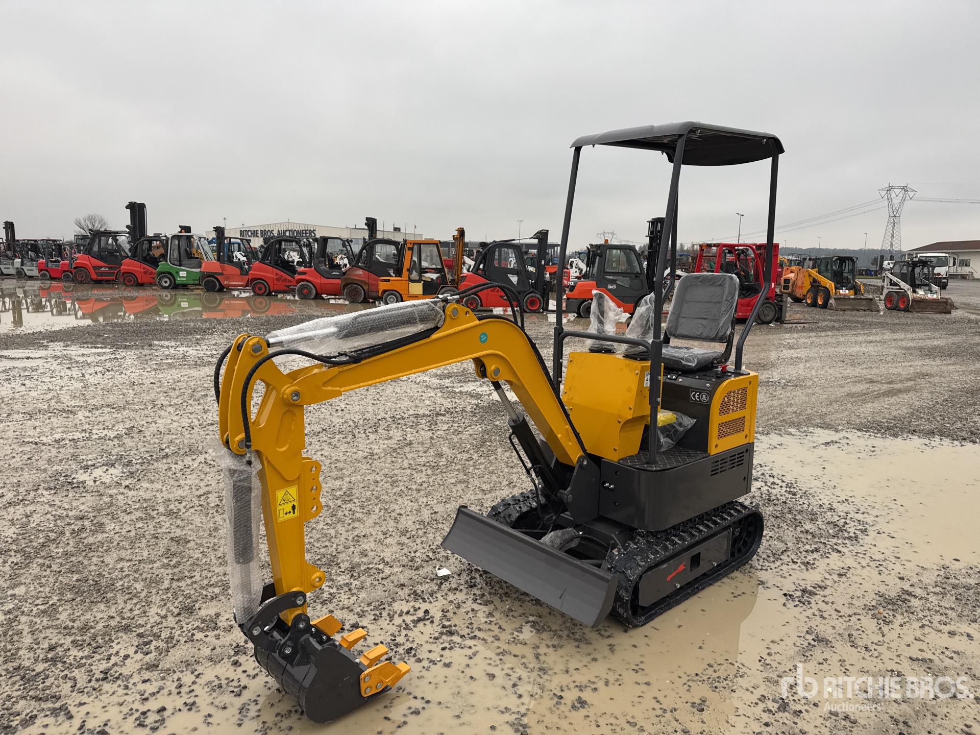 General Appearance with 