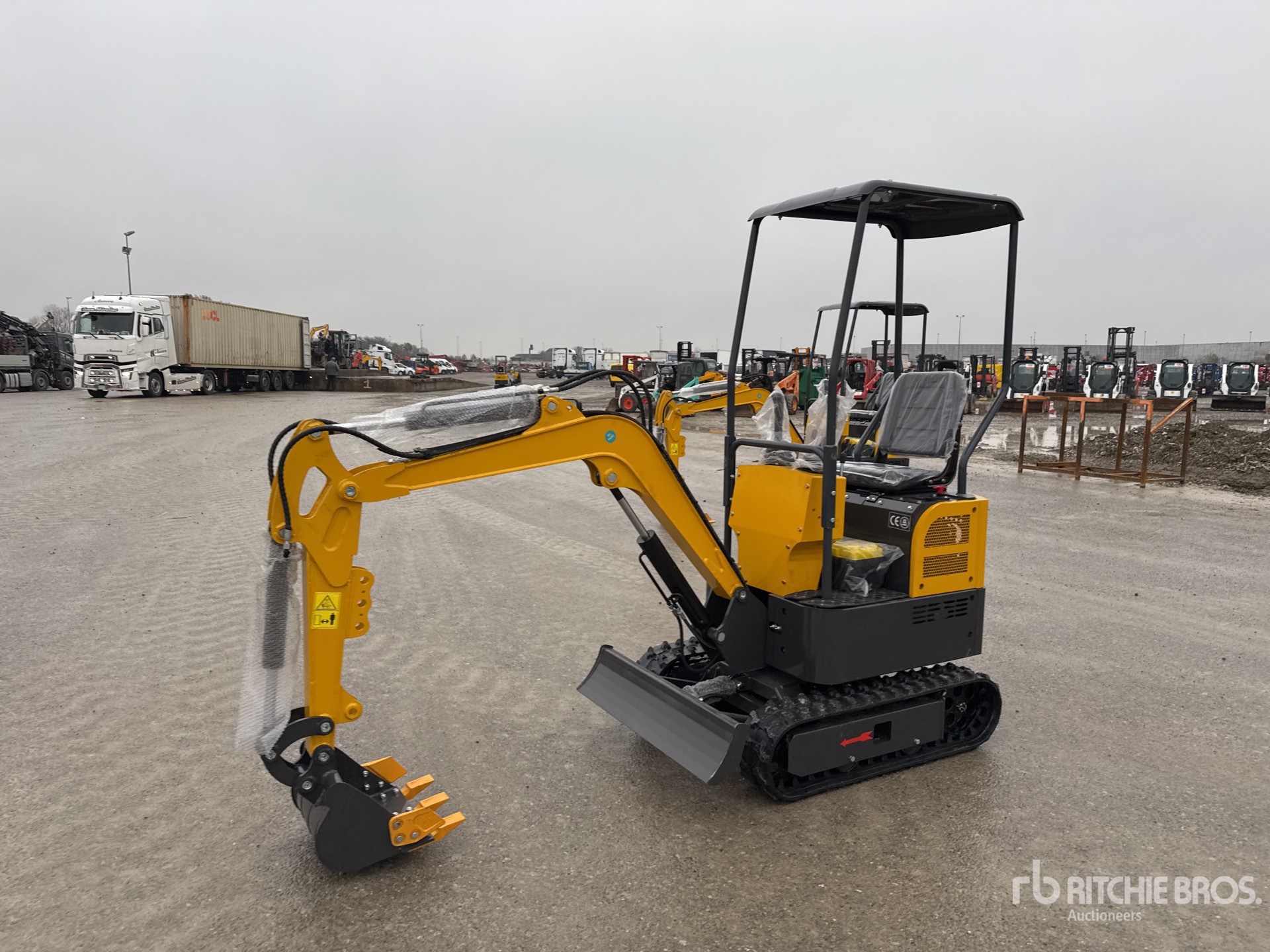 General Appearance with 